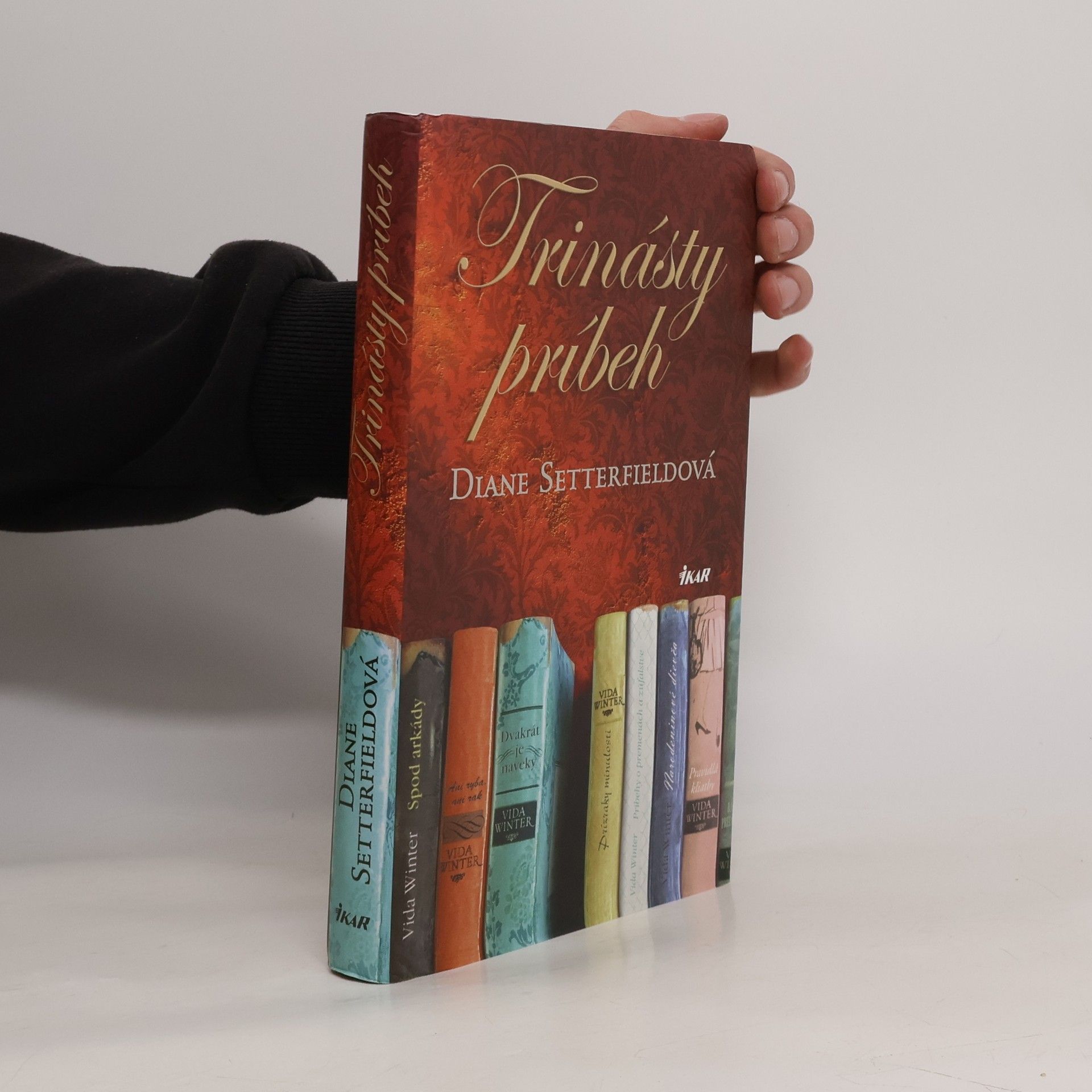 Diane Setterfield Trinásty príbeh