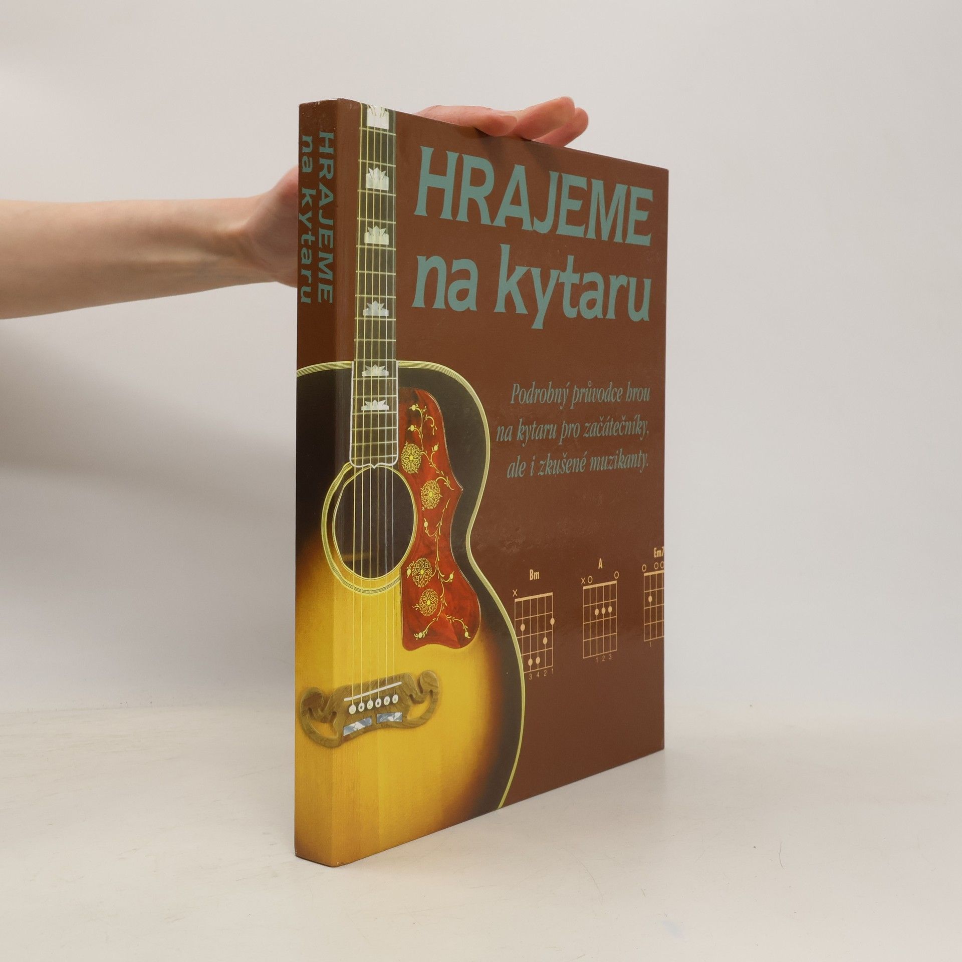 Pavel Dan Hrajeme na kytaru