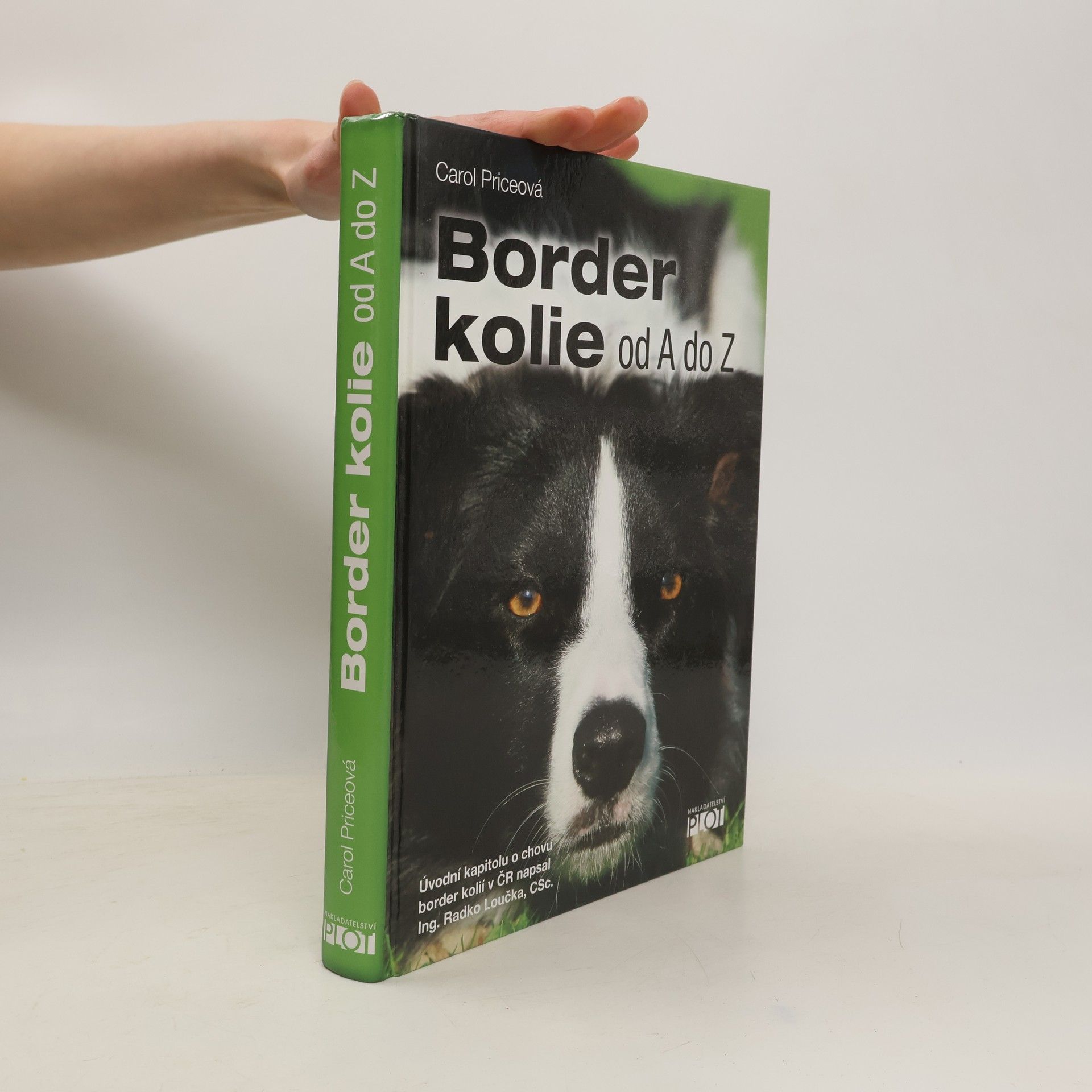 Carol Price Border kolie od A do Z