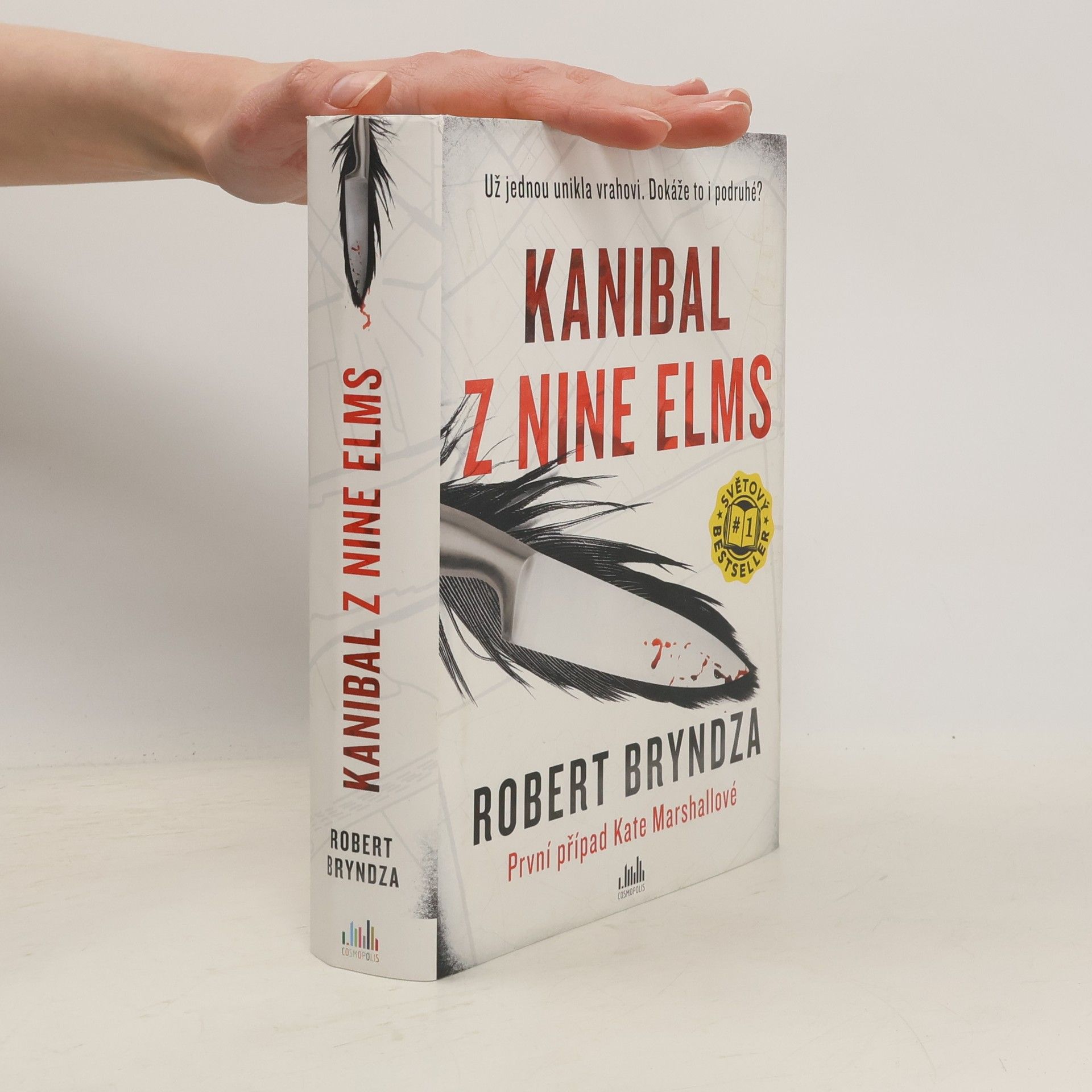 Robert Bryndza Kanibal z Nine Elms