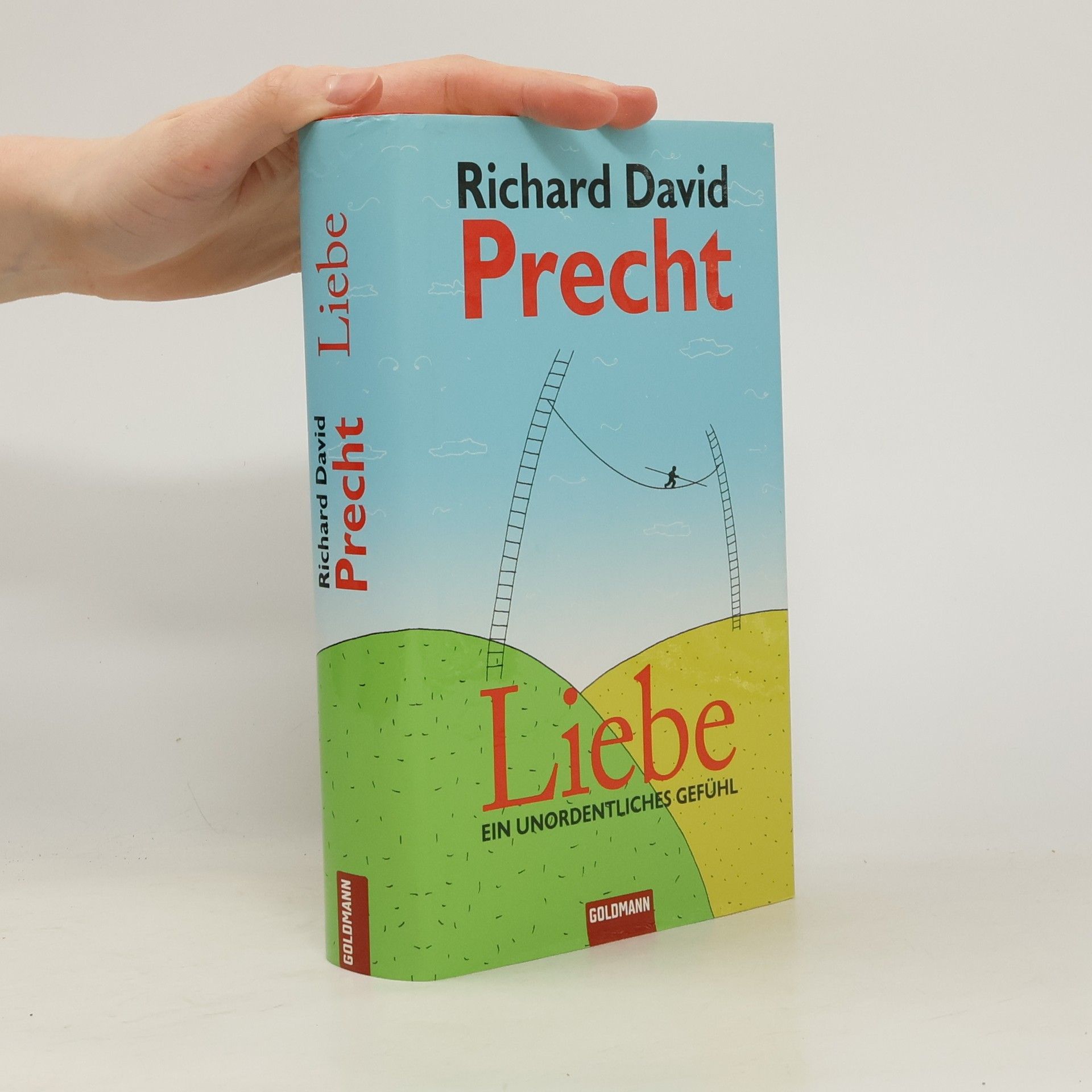 Richard David Precht Liebe ein Unordentliches Gefühl