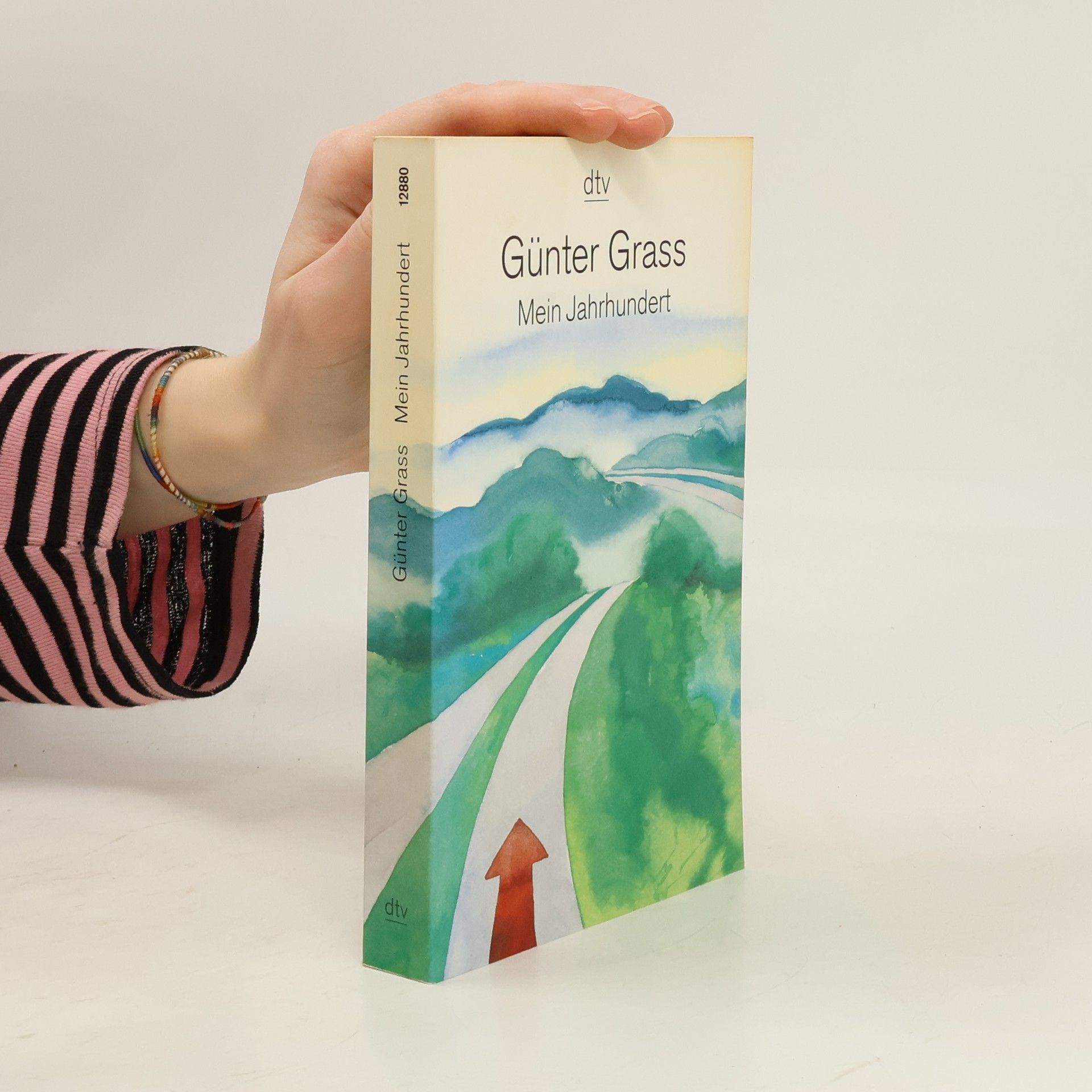Günter Grass Mein Jahrhundert