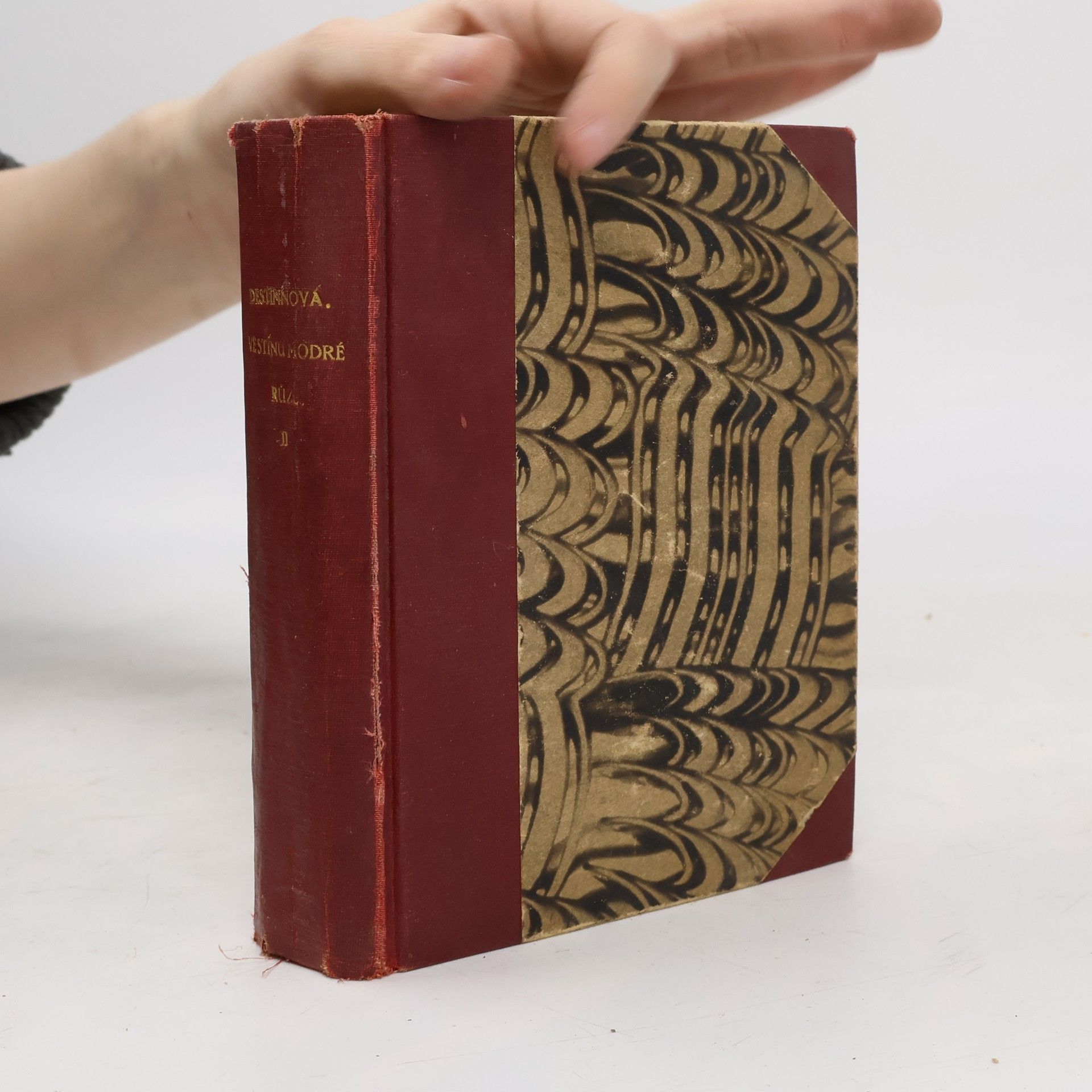 Emmy Destinn Ve stínu modré růže II