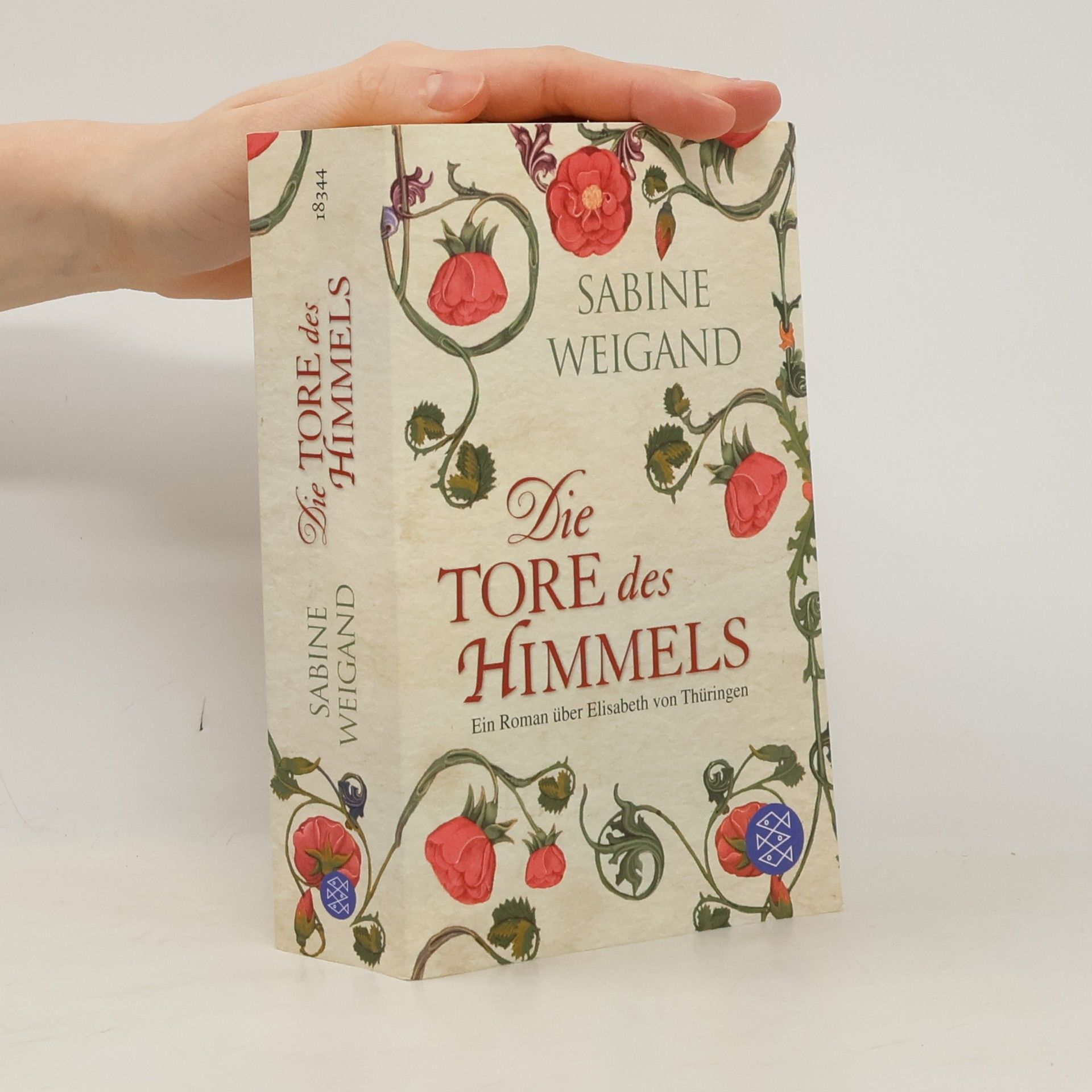 Sabine Weigand Die Tore des Himmels