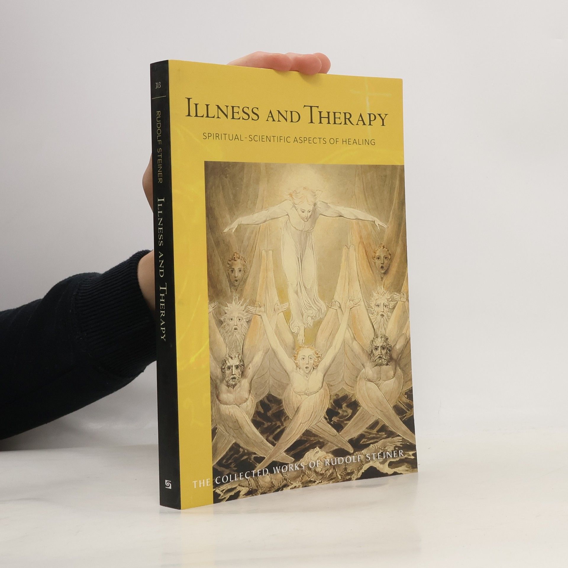 Rudolf Steiner Collected Works of Rudolf Steiner - 313: Illness and Therapy