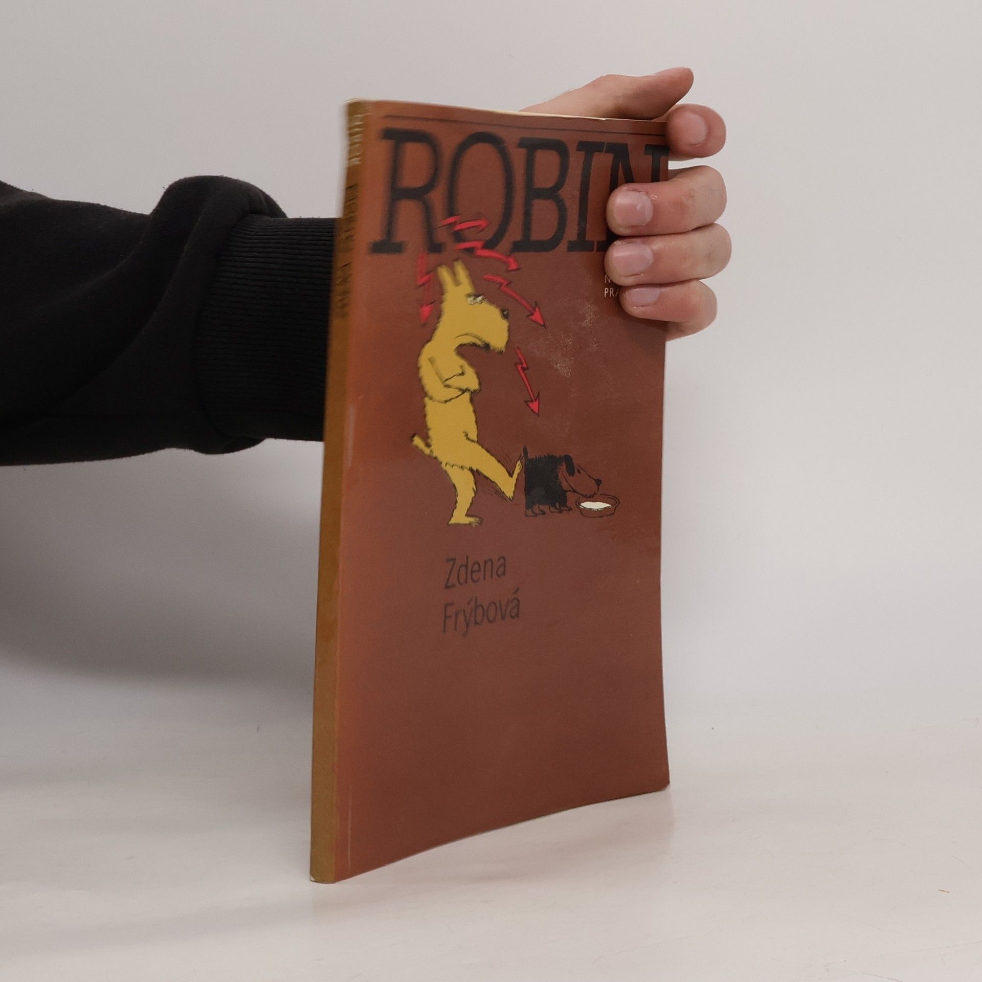 Zdena Frýbová Robin