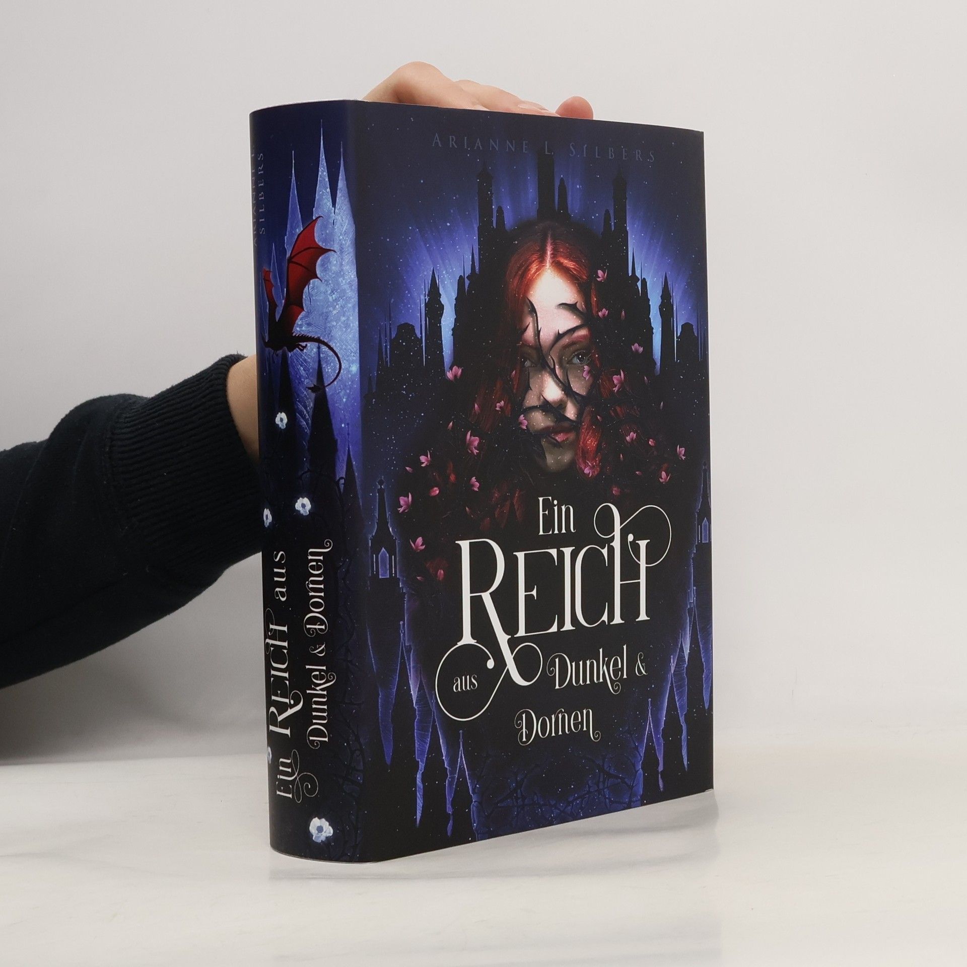 Ein Reich aus Dunkel & Domen