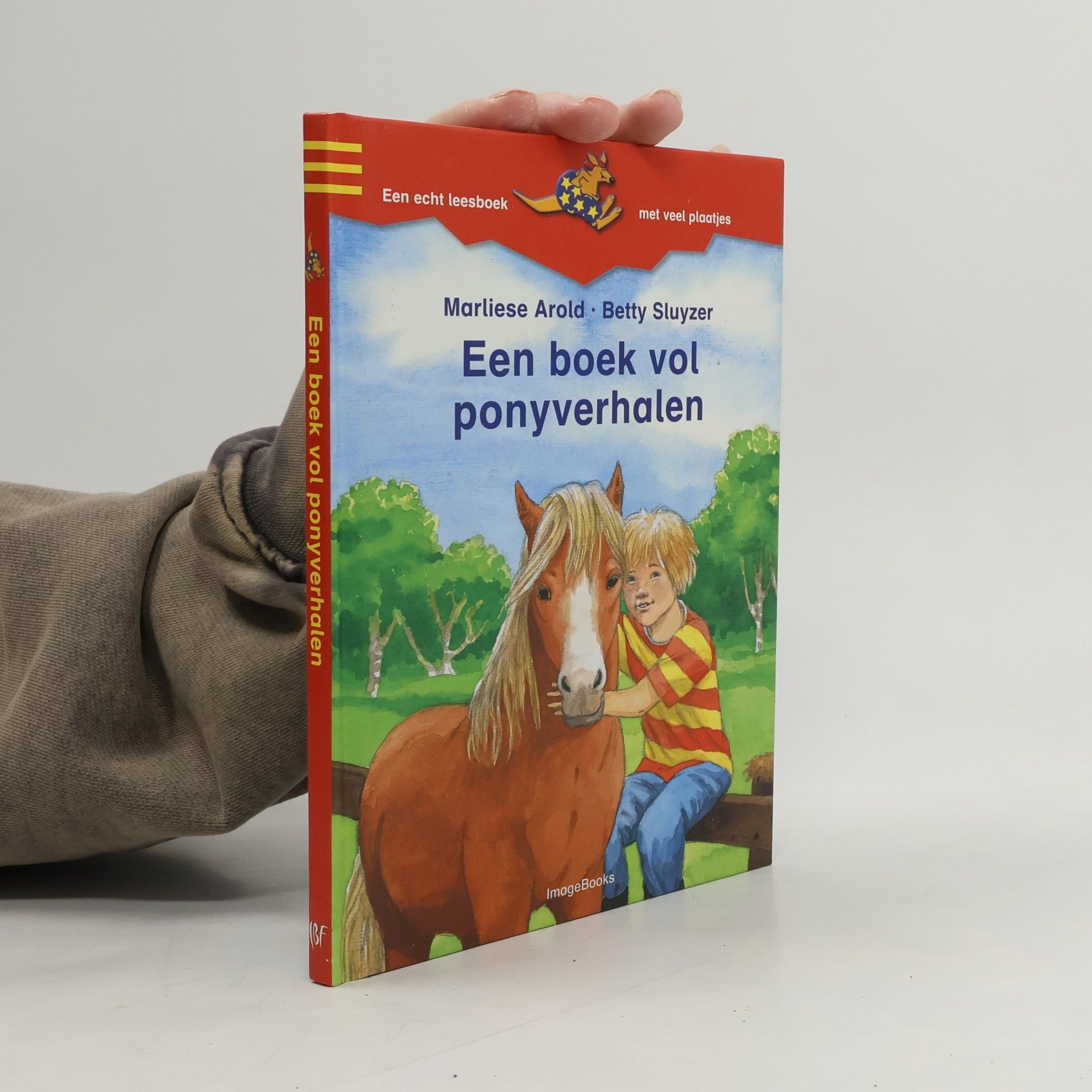 Een boek vol ponyverhalen