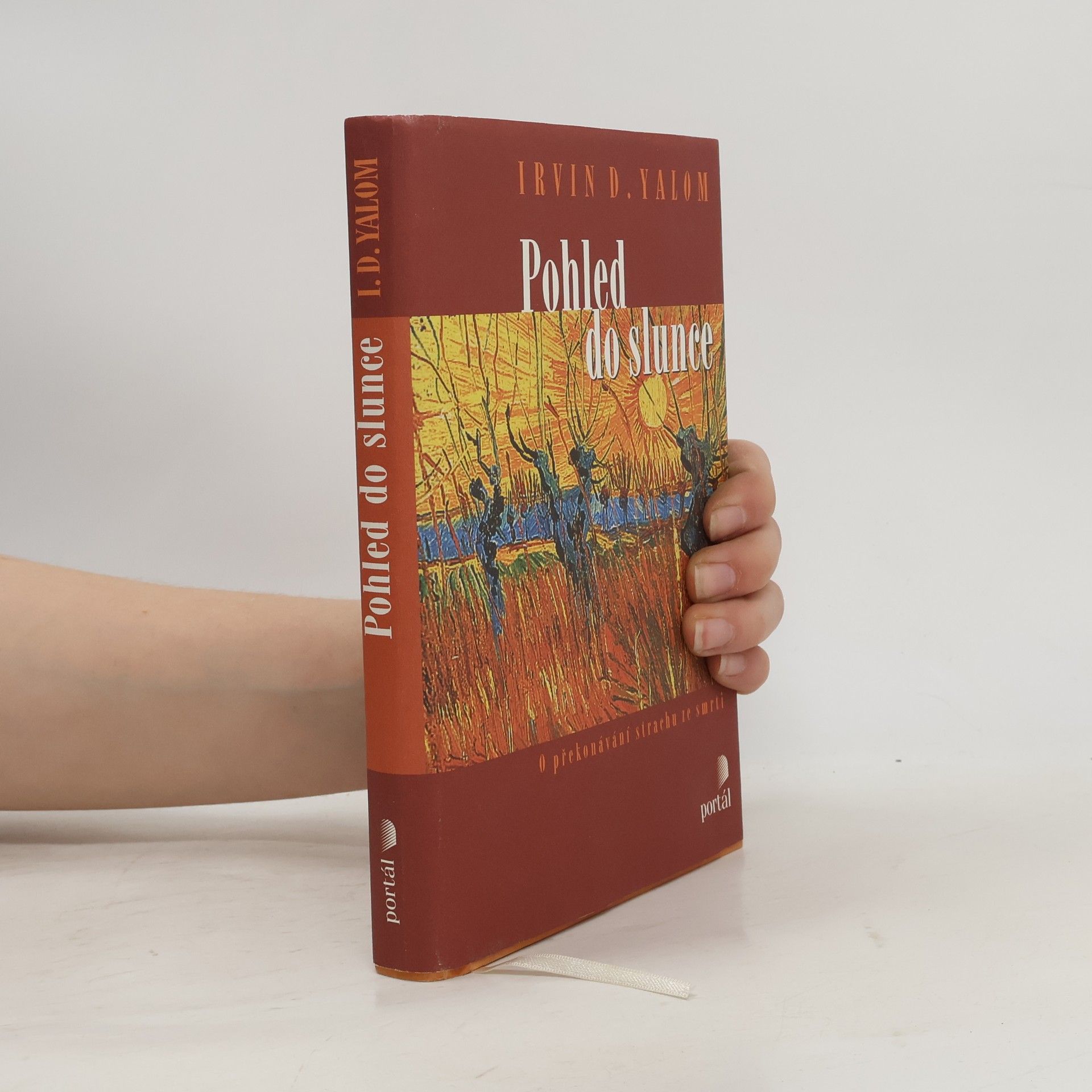Irvin Yalom Pohled do slunce