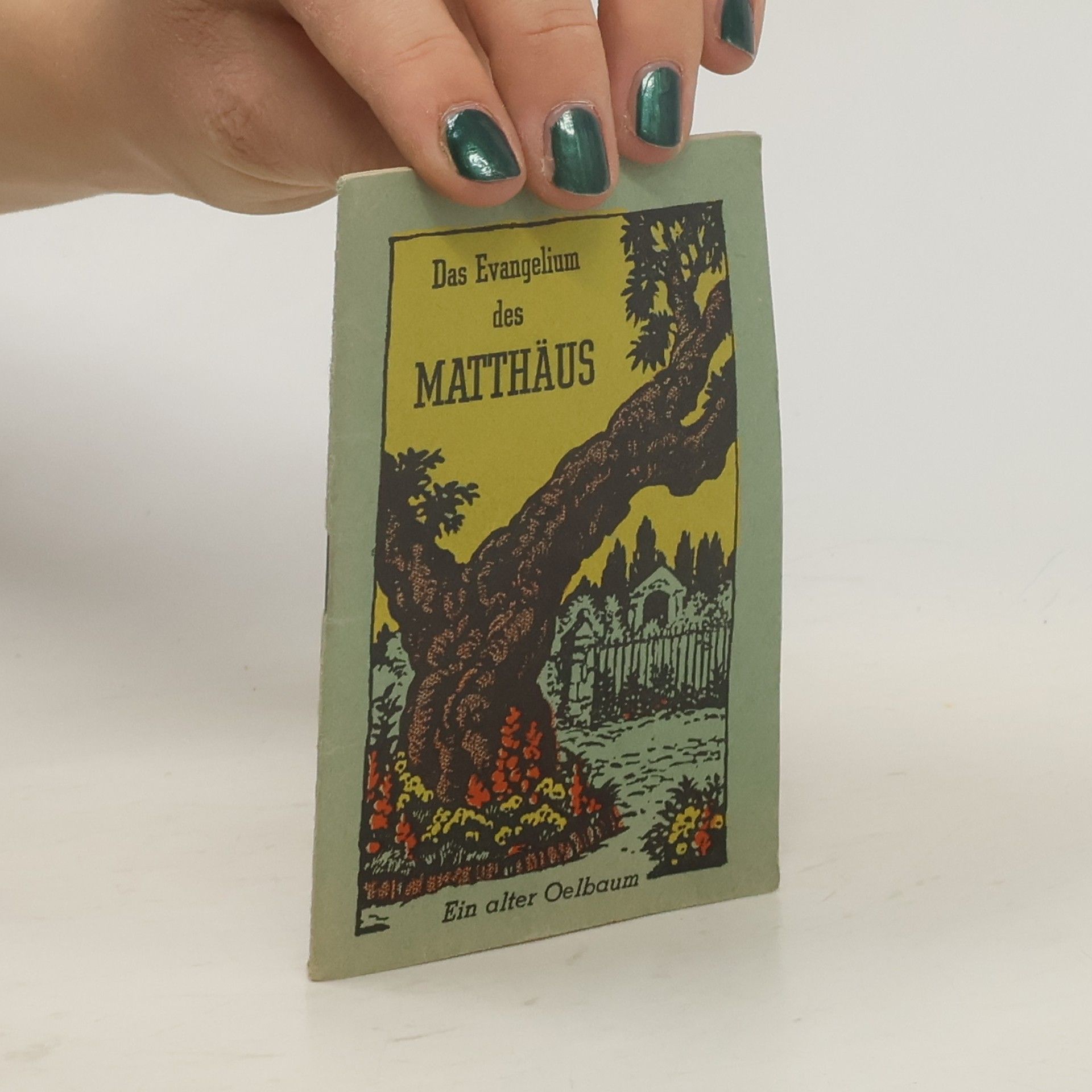 Martin Luther Das Evangelium des Matthäus