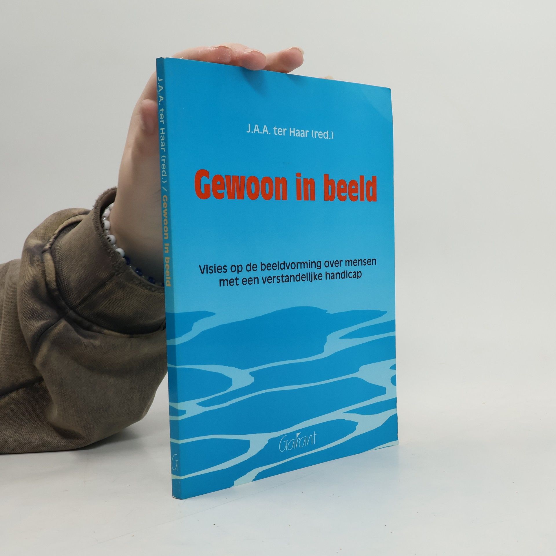 Aartjan Ter Haar Gewoon in beeld