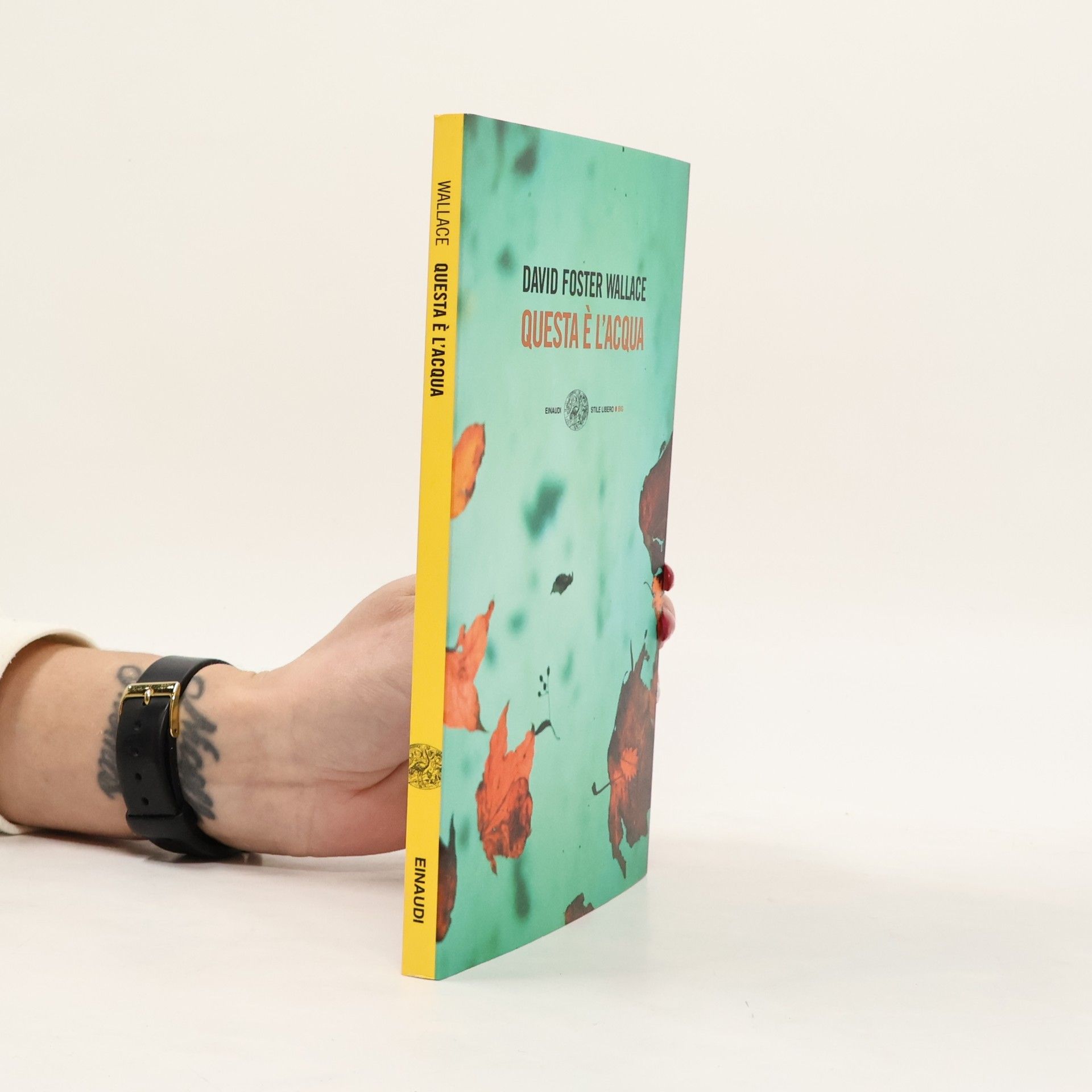 David Foster Wallace Stile Libero Big: Questa è l'acqua