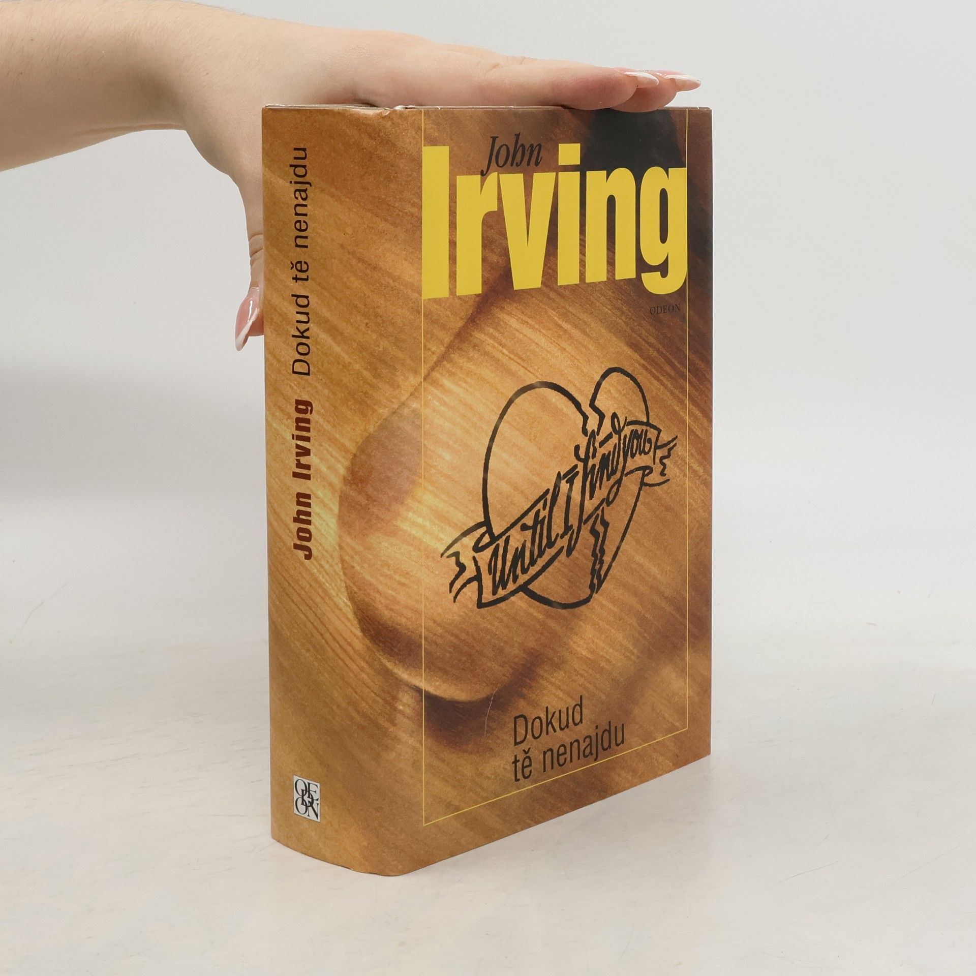 John Irving Dokud tě nenajdu