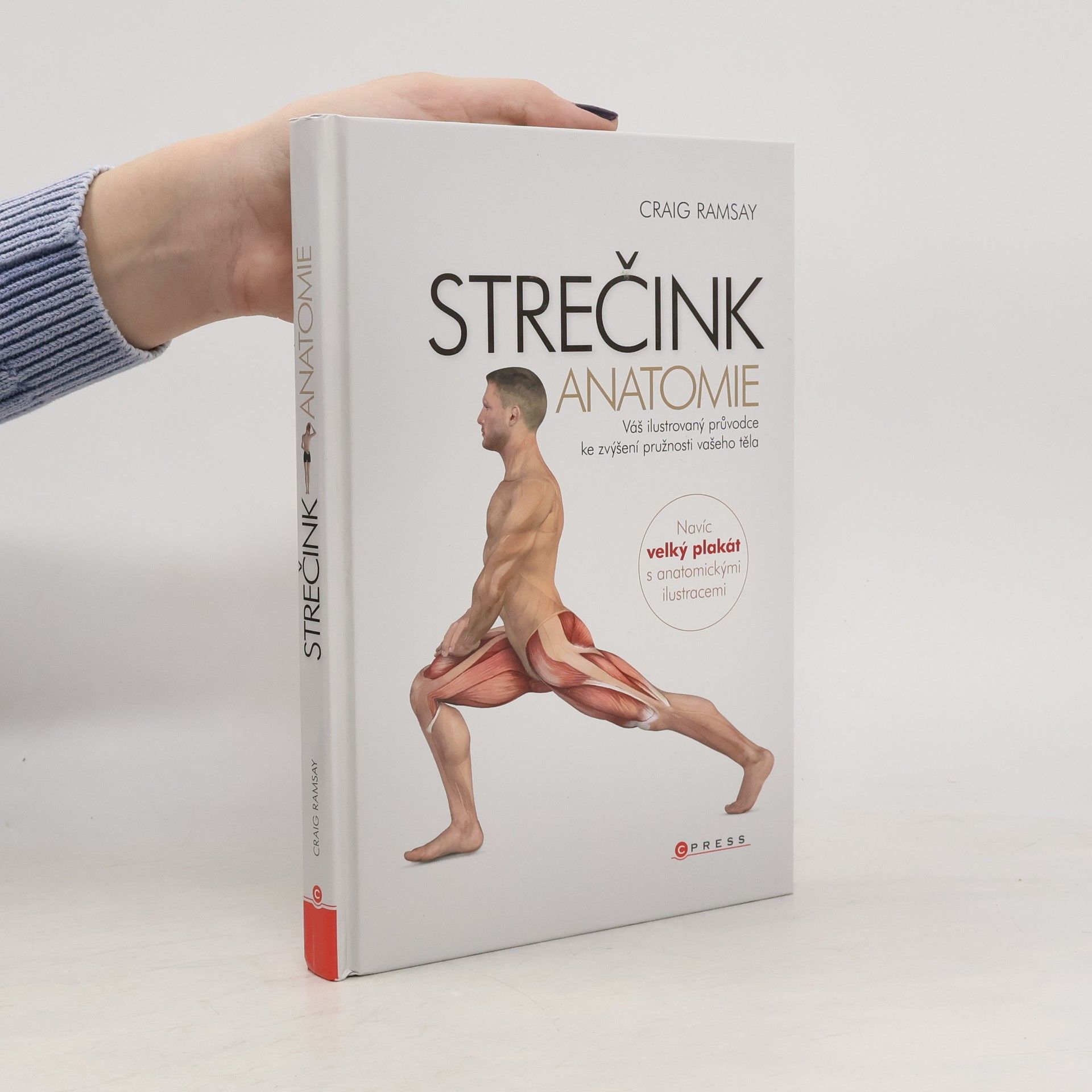 Craig Ramsay Strečink - anatomie
