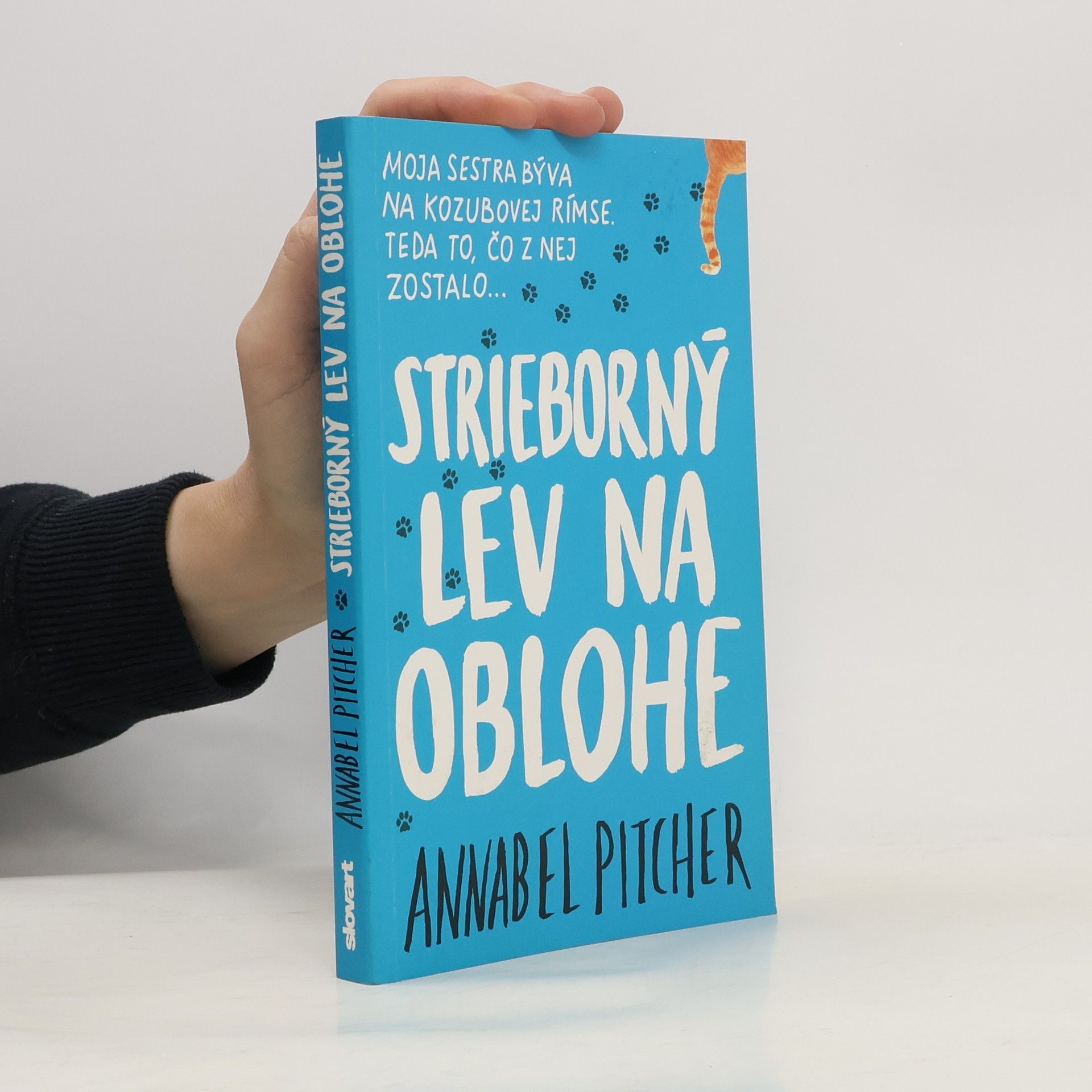 Annabel Pitcher Strieborný lev na oblohe