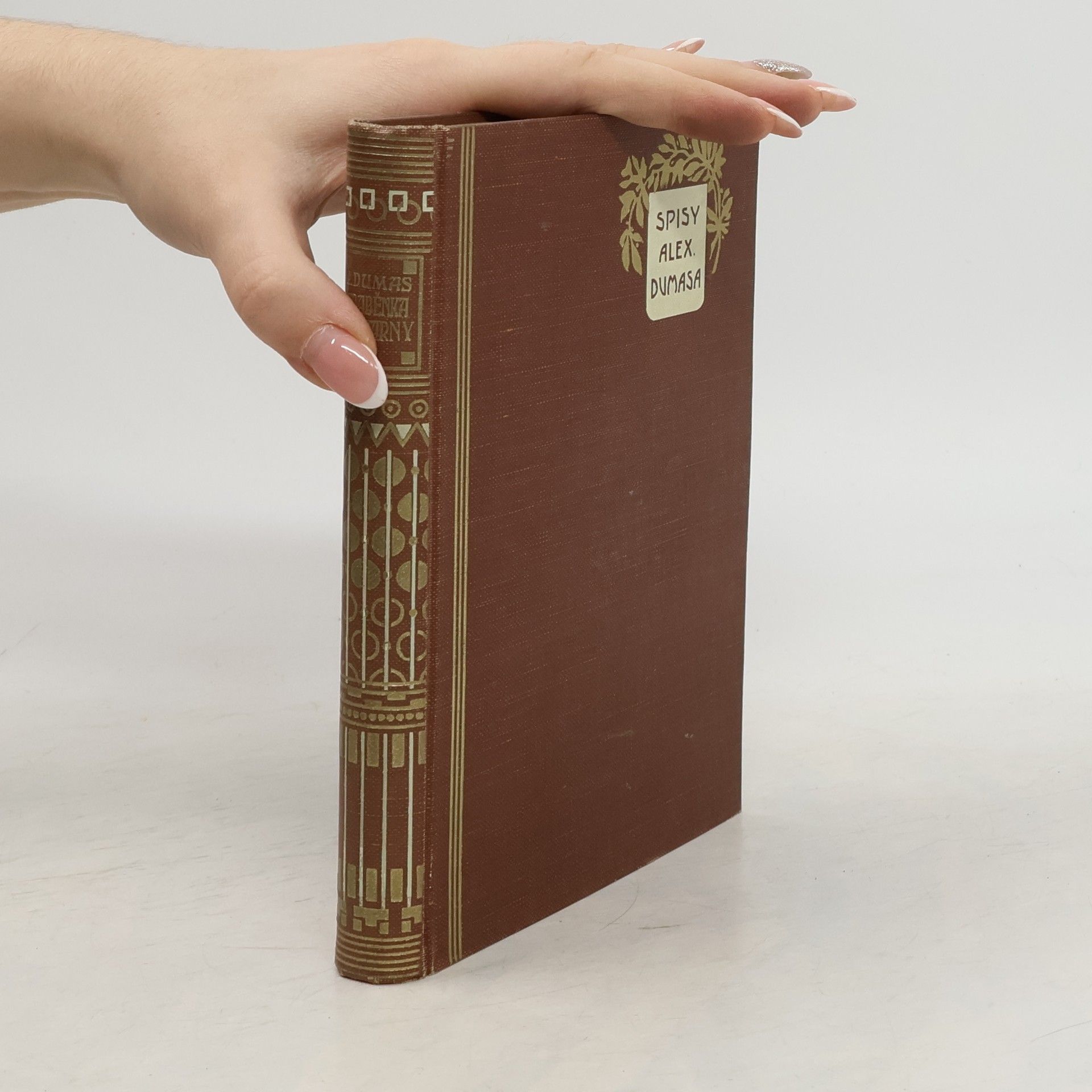 Alexandre Dumas der Ältere Hraběnka de Charny. Díl IV.