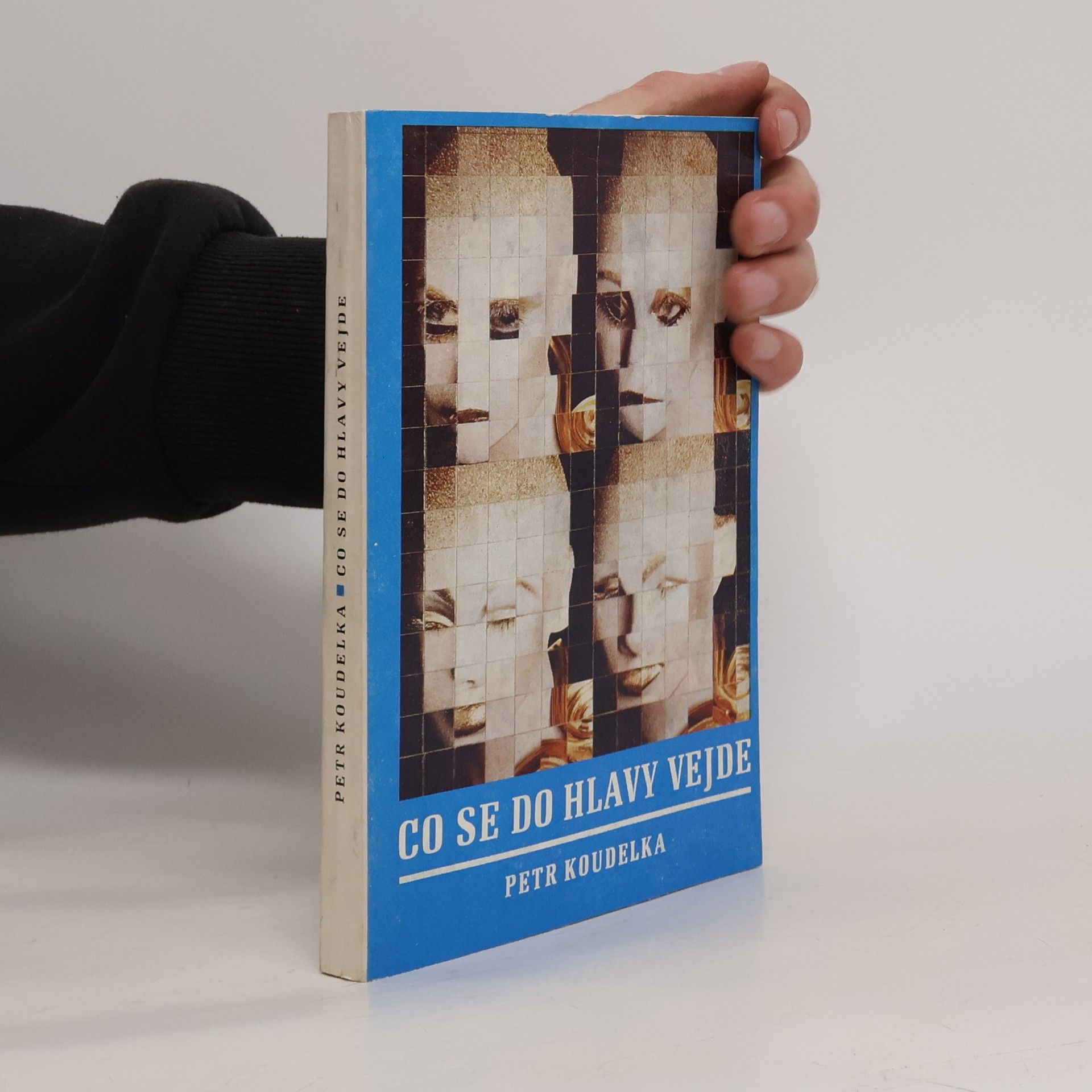 Petr Koudelka Co se do hlavy vejde