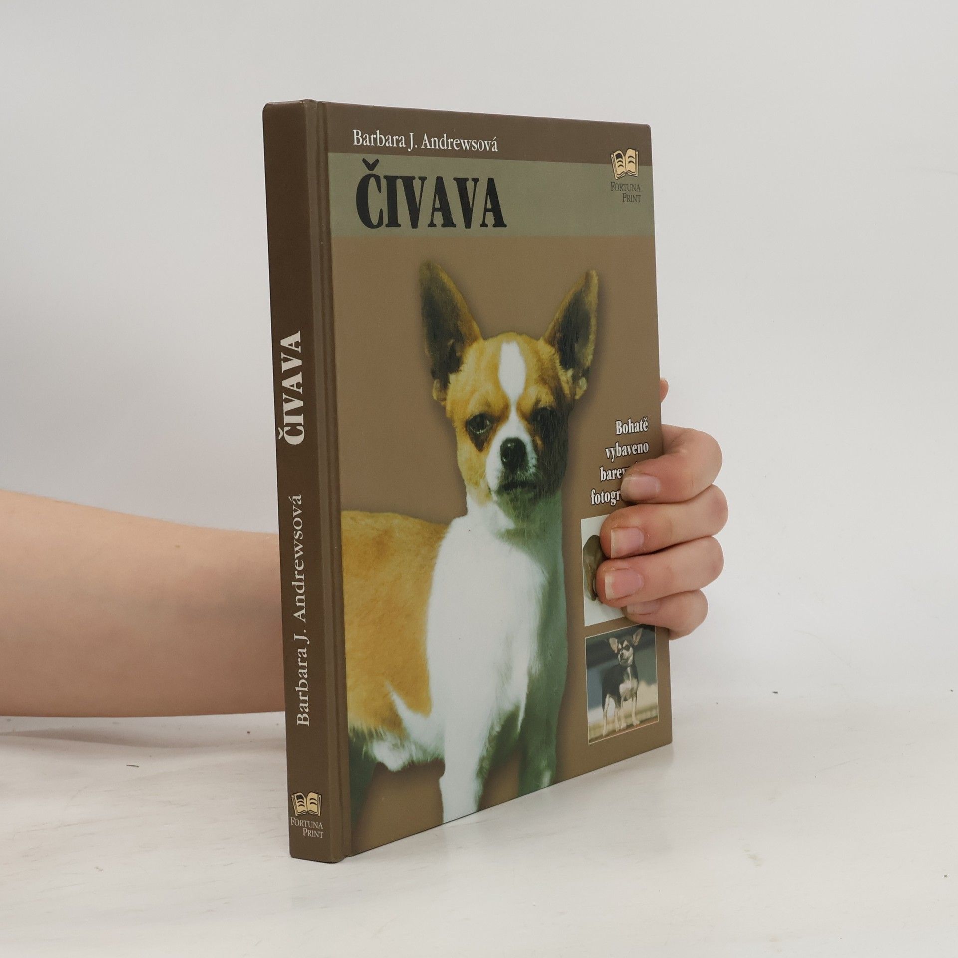 Barbara J. Andrews Čivava