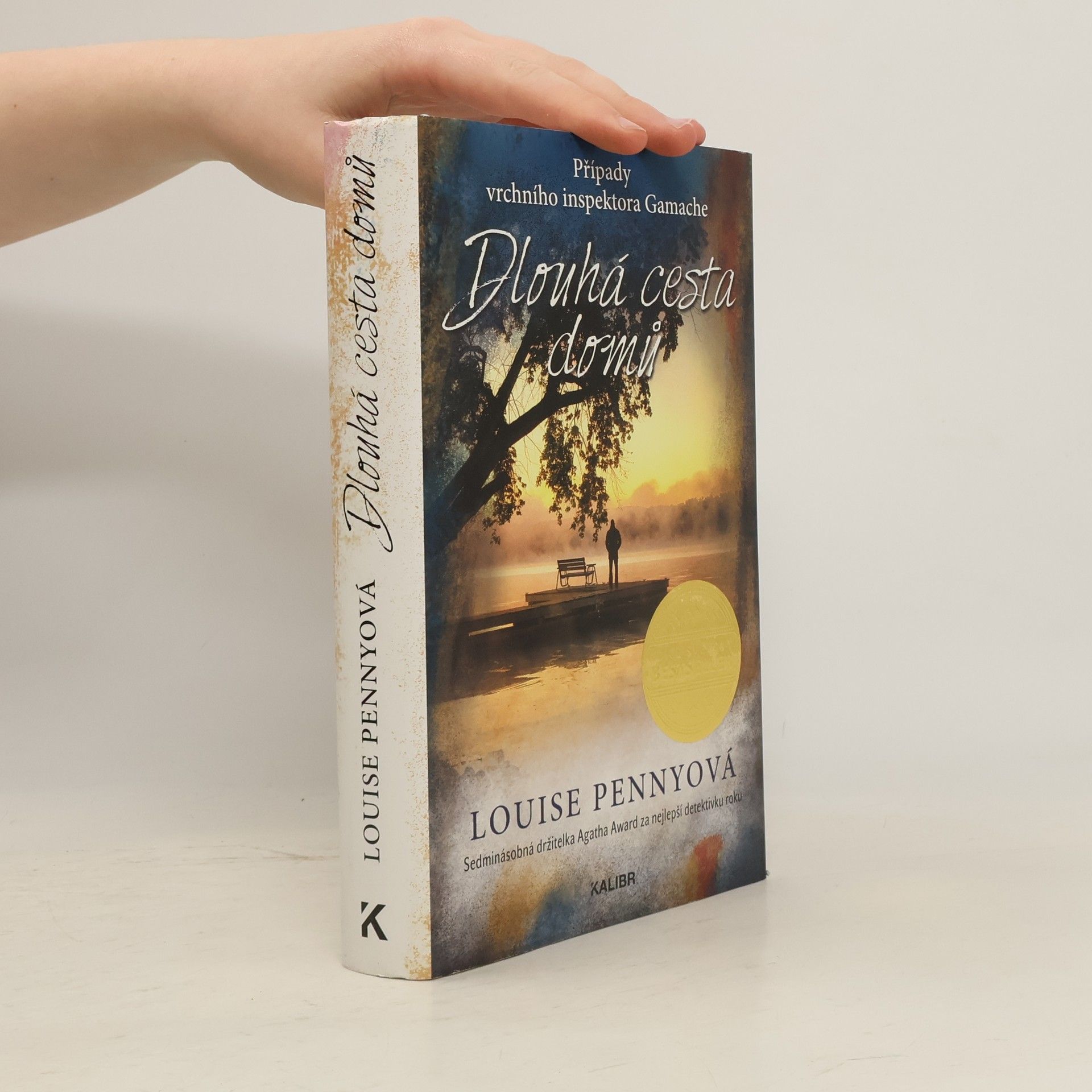Louise Penny Dlouhá cesta domů