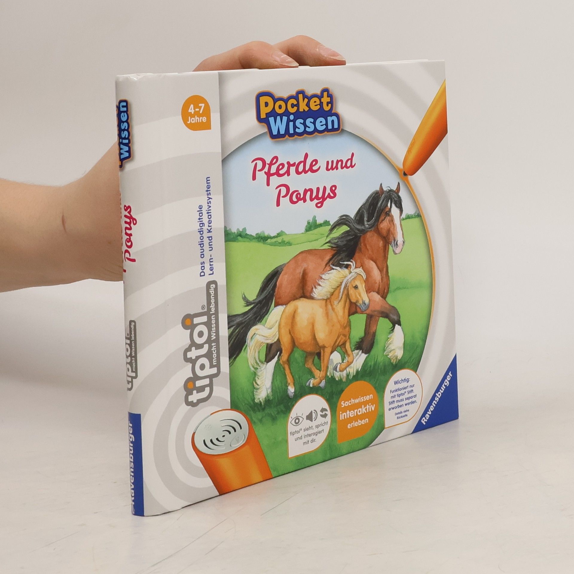 Yvonne Follert Pferde und Ponys