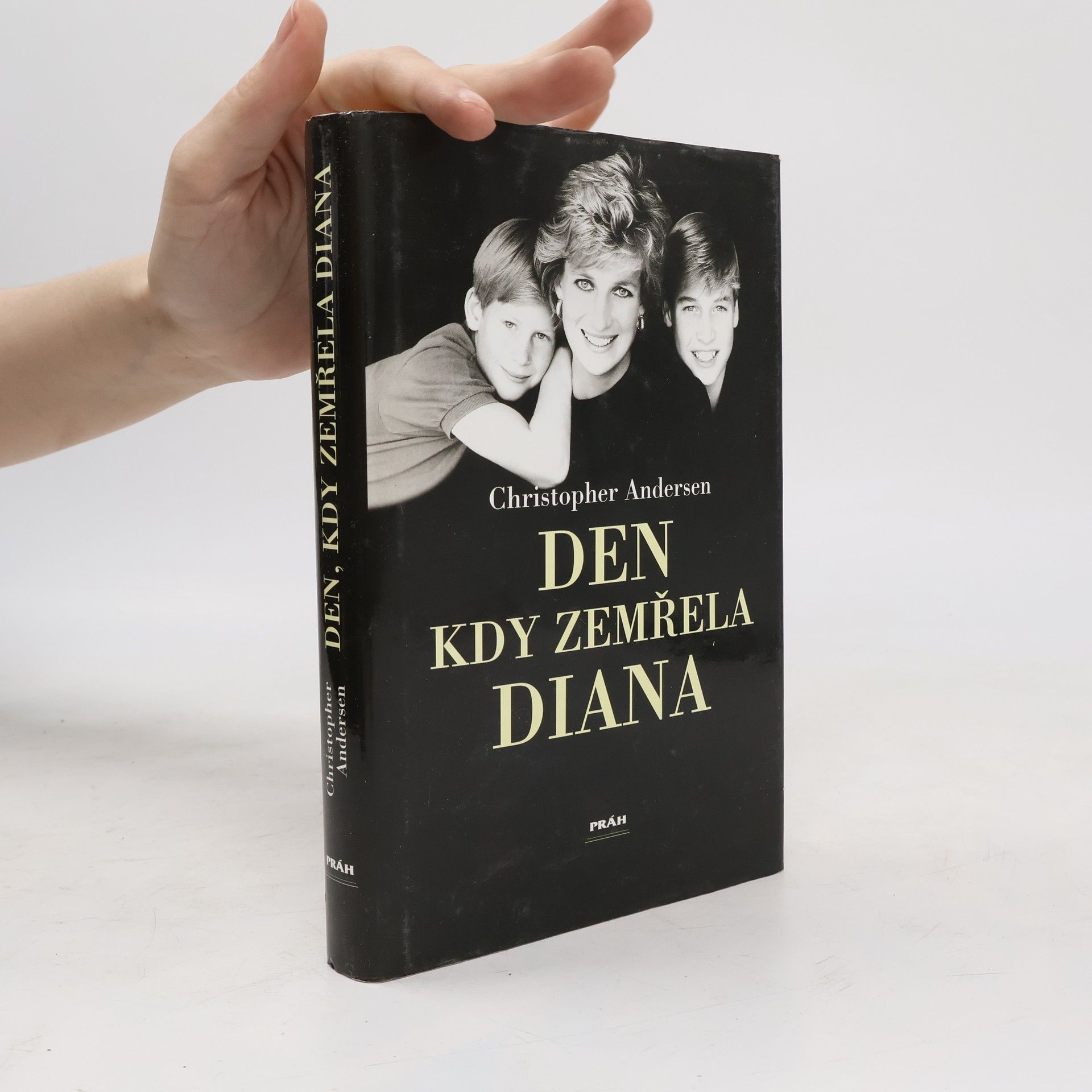 Dana Šimonová Den, kdy zemřela Diana