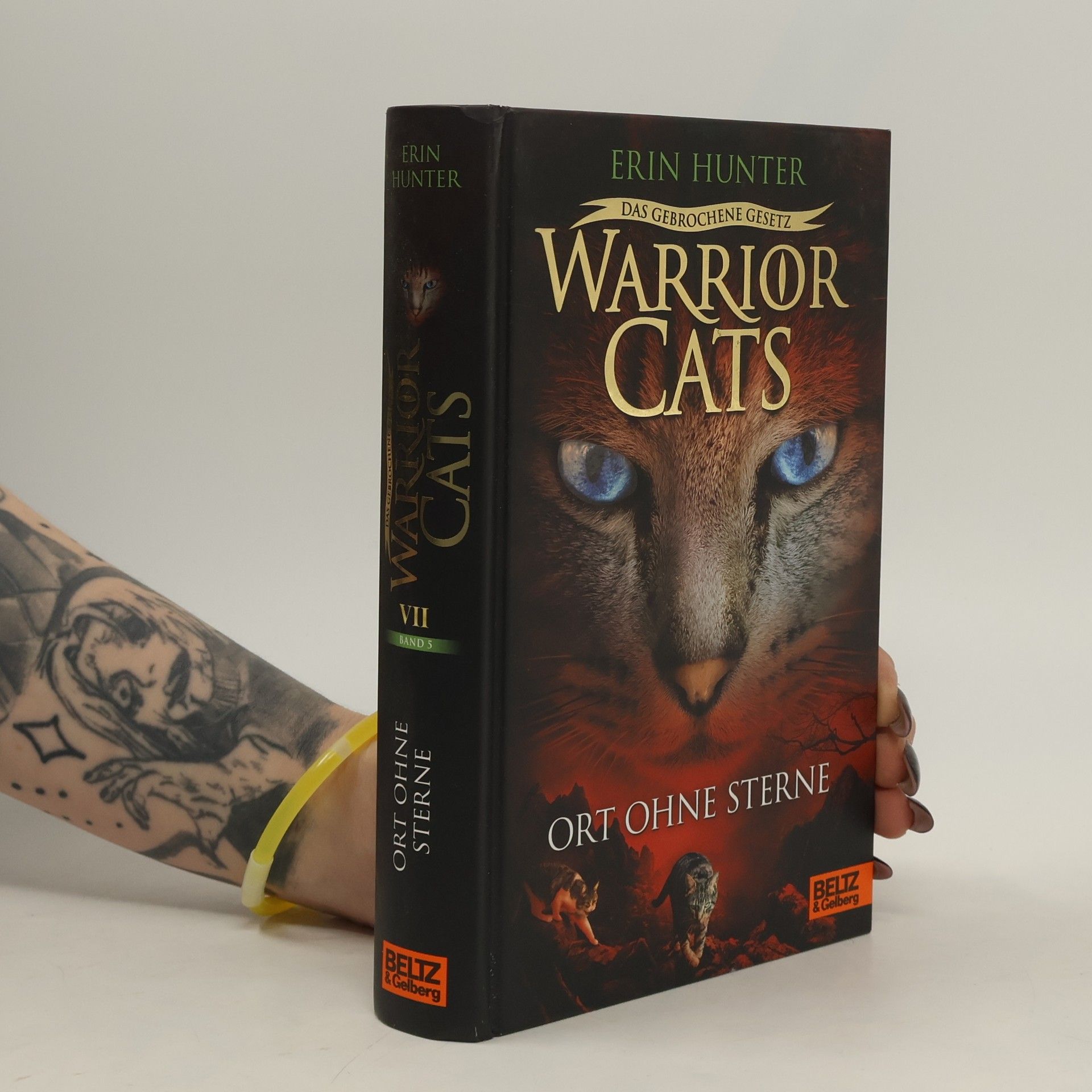 Erin Hunter Warrior Cats: Warrior Cats
