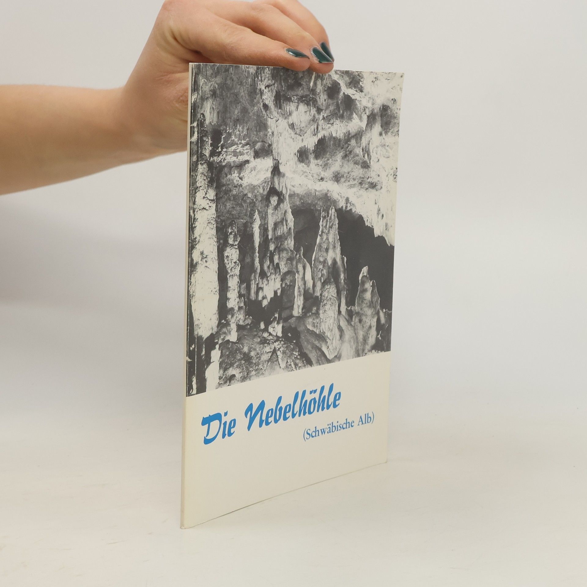 Autorenkollektiv Die Nebelhöhle