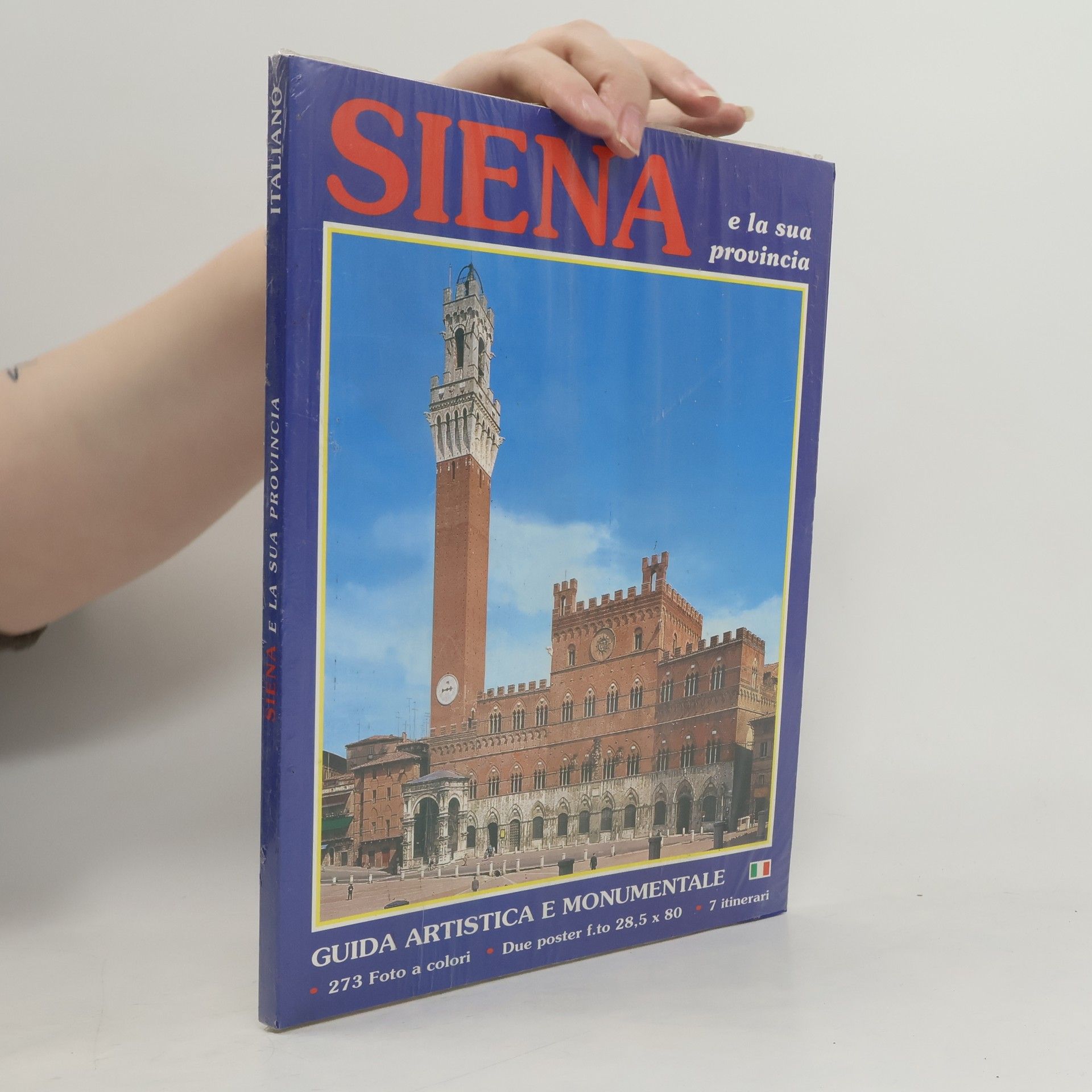 Kolektív autorov Siena e la sua provincia