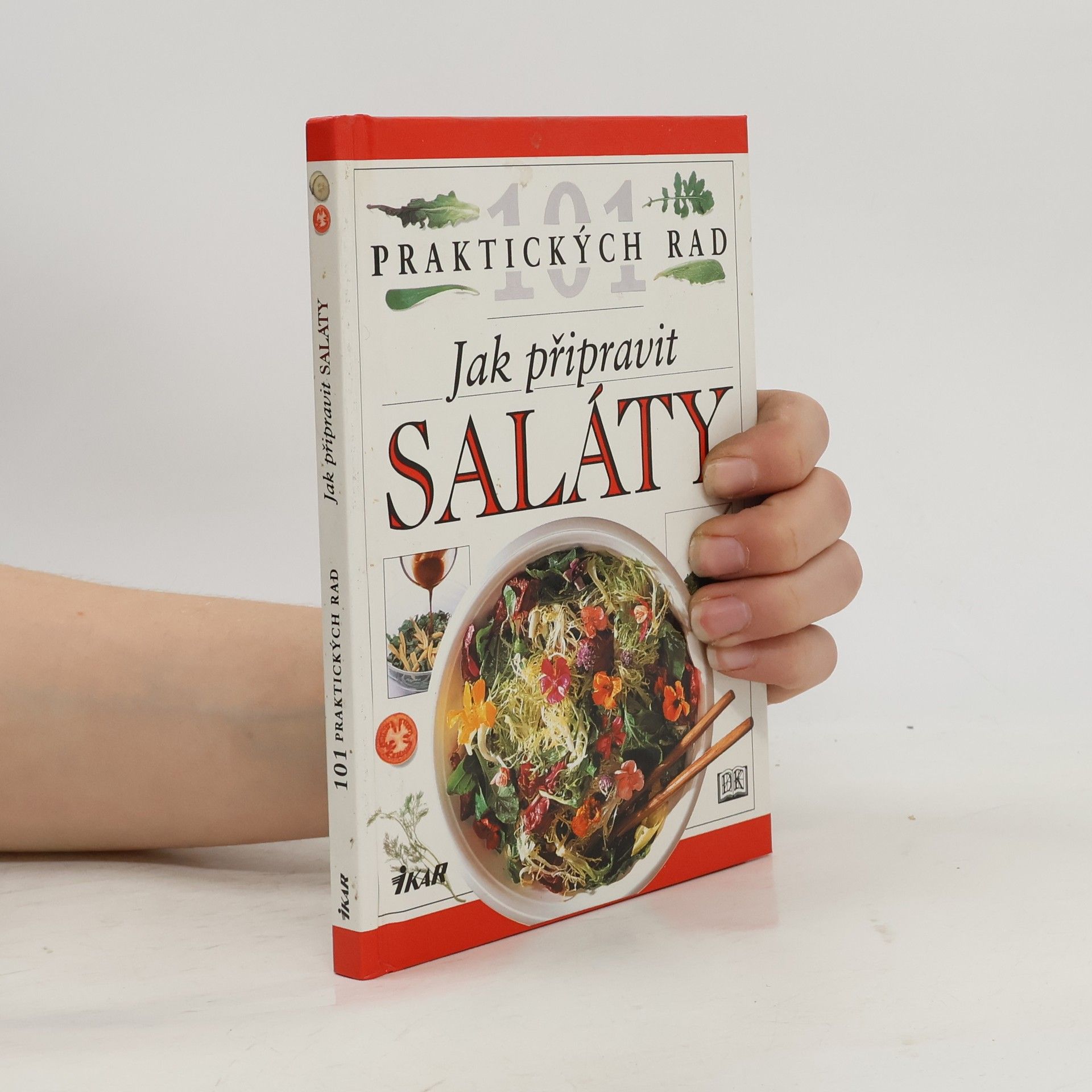 Anne Willan Jak připravit saláty