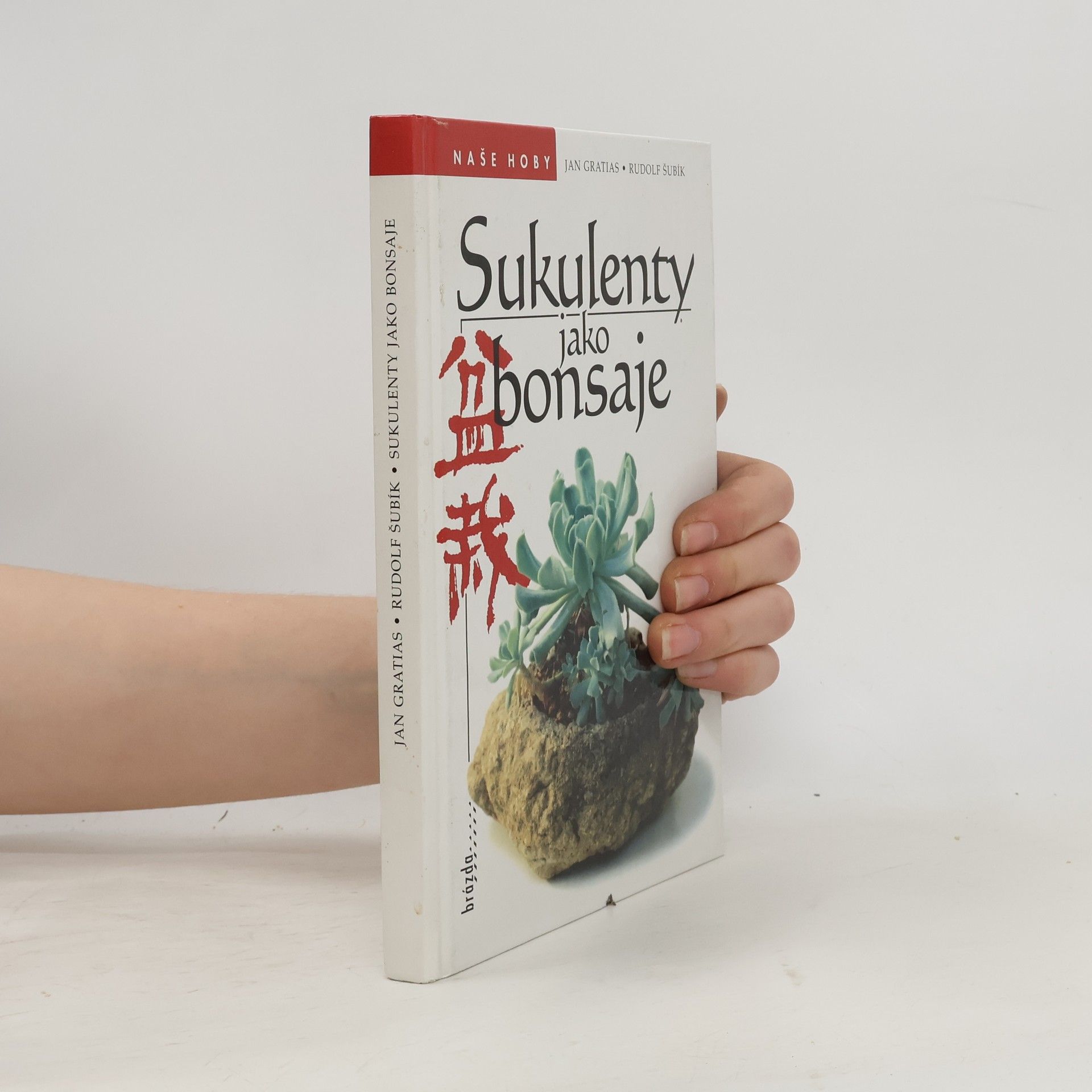Sukulenty jako bonsaje