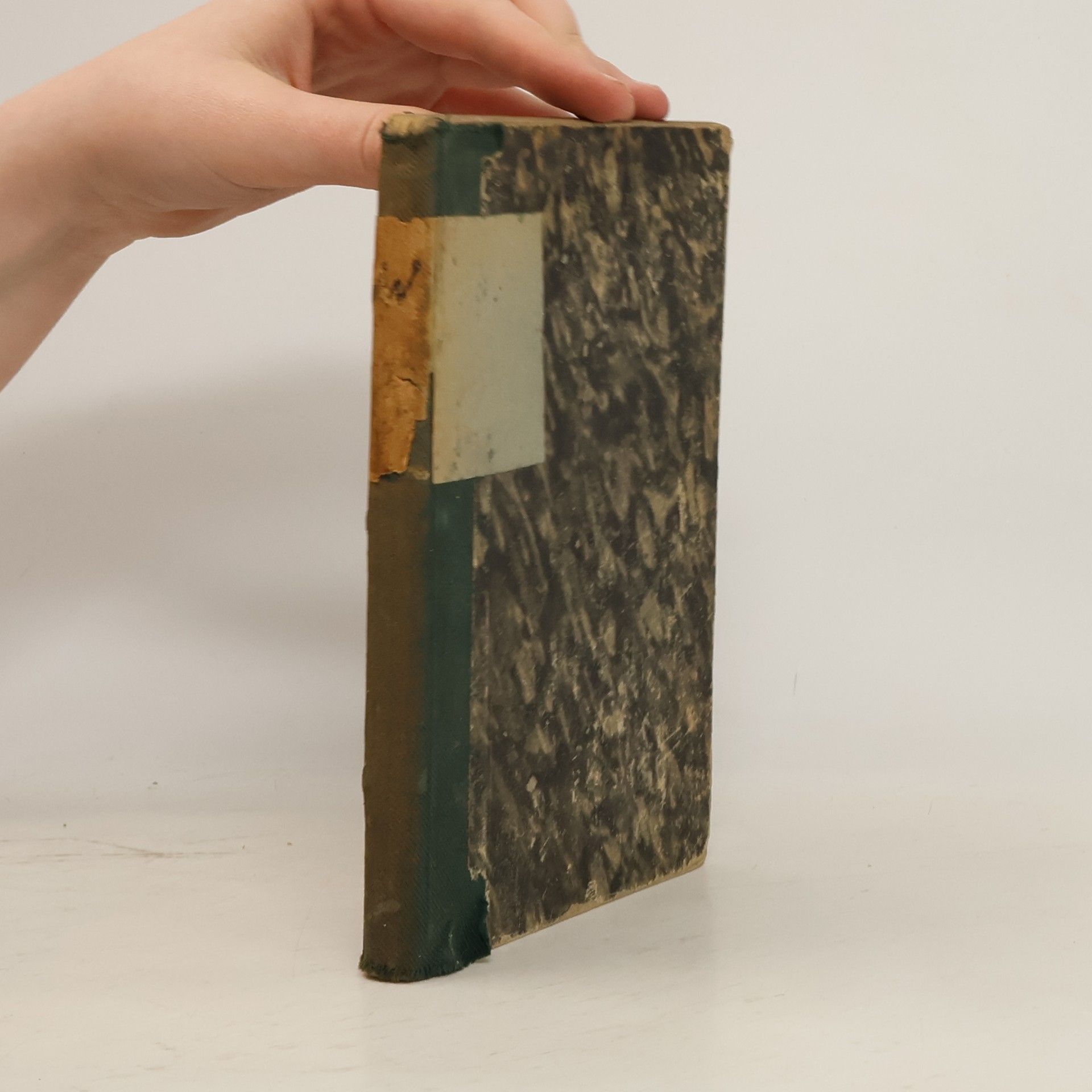 Ernst von Wildenbruch Väter und Söhne