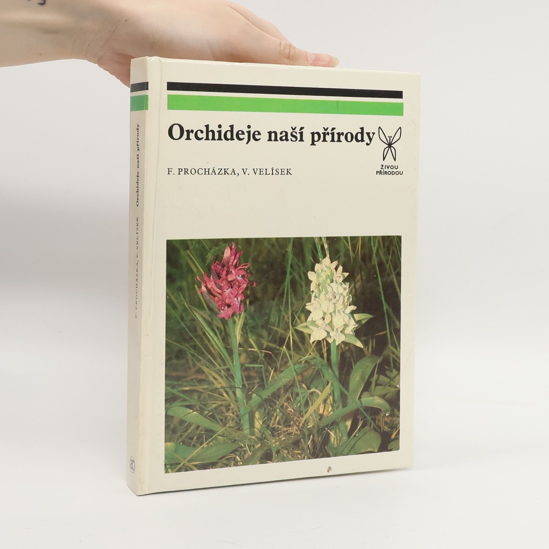 Orchideje naší přírody