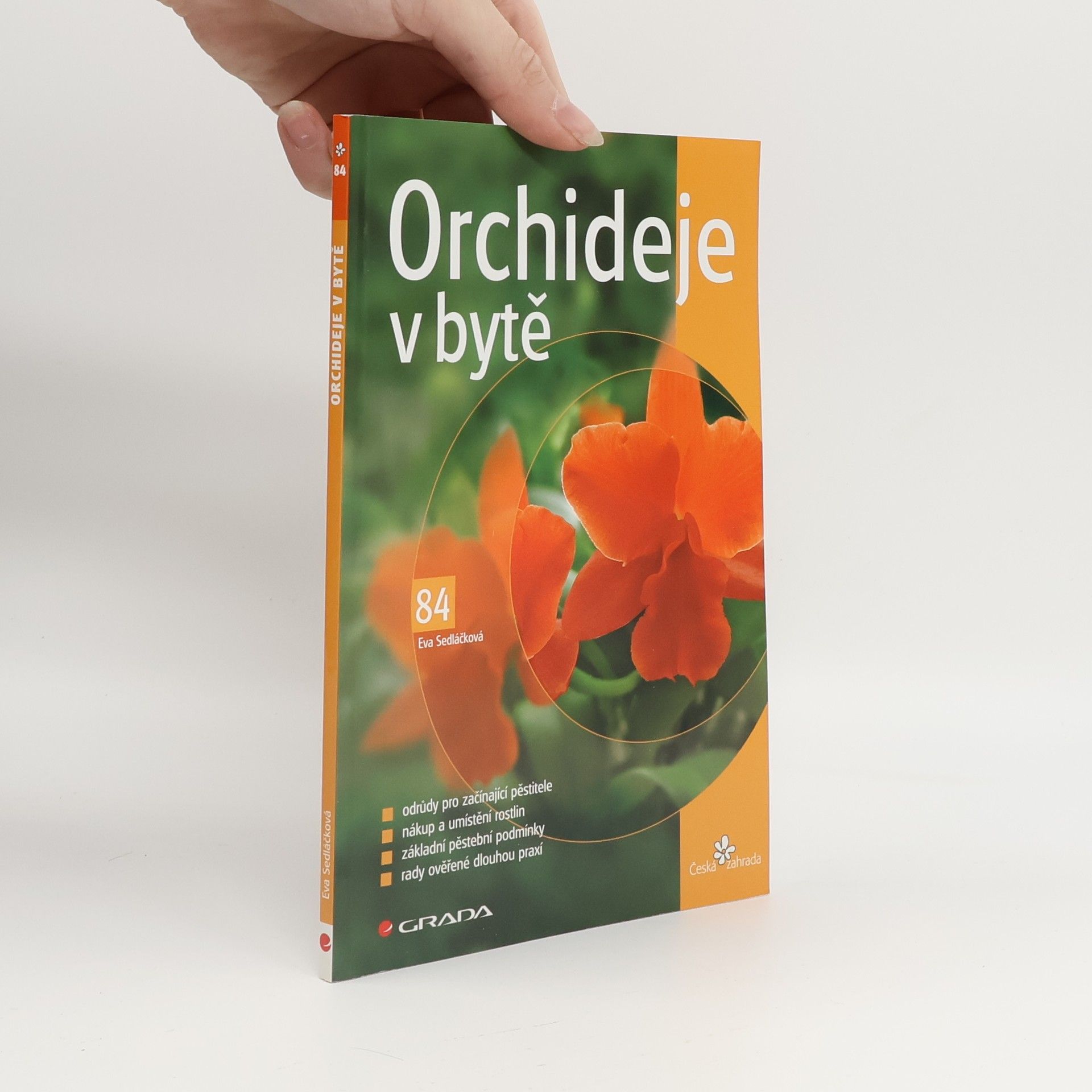 Eva Sedláčková Orchideje v bytě