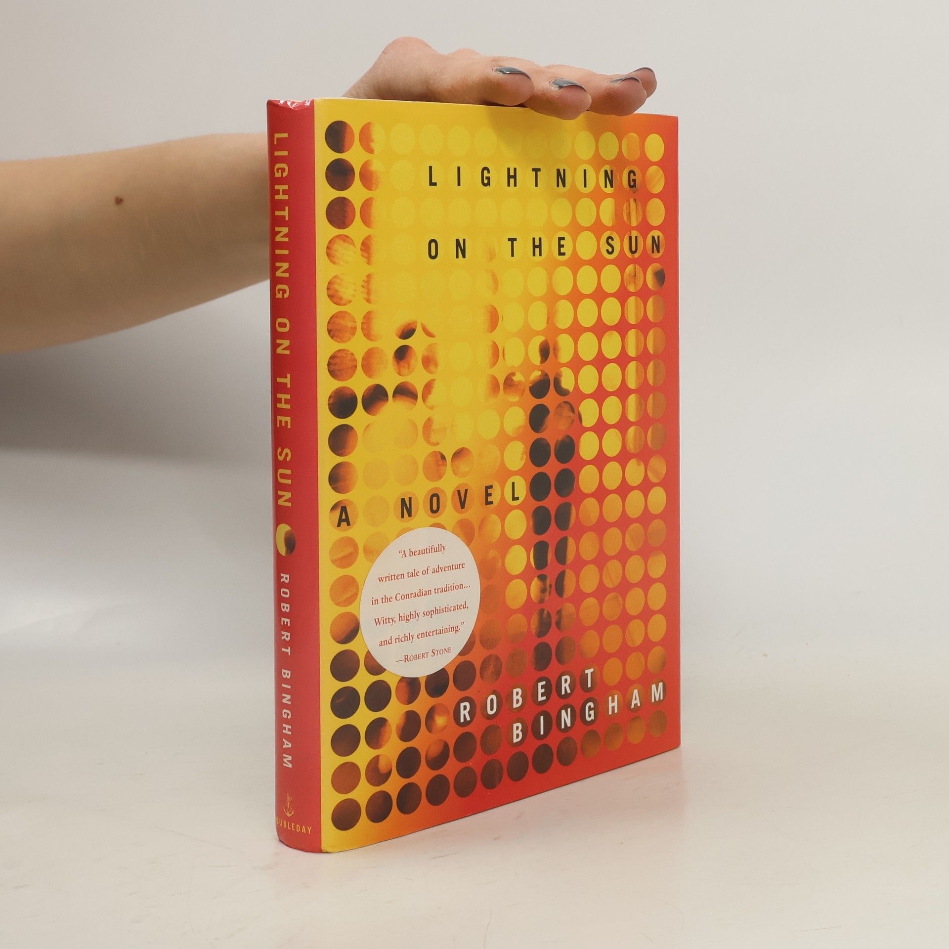 Robert Bingham Lightning on the Sun