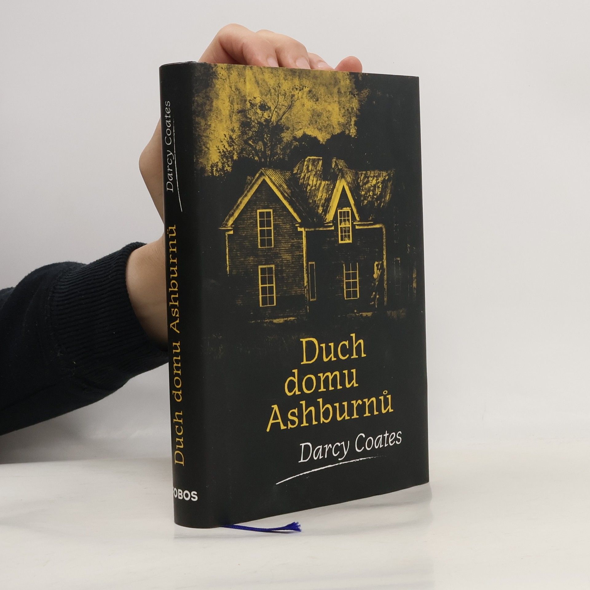 Darcy Coates Duch domu Ashburnů