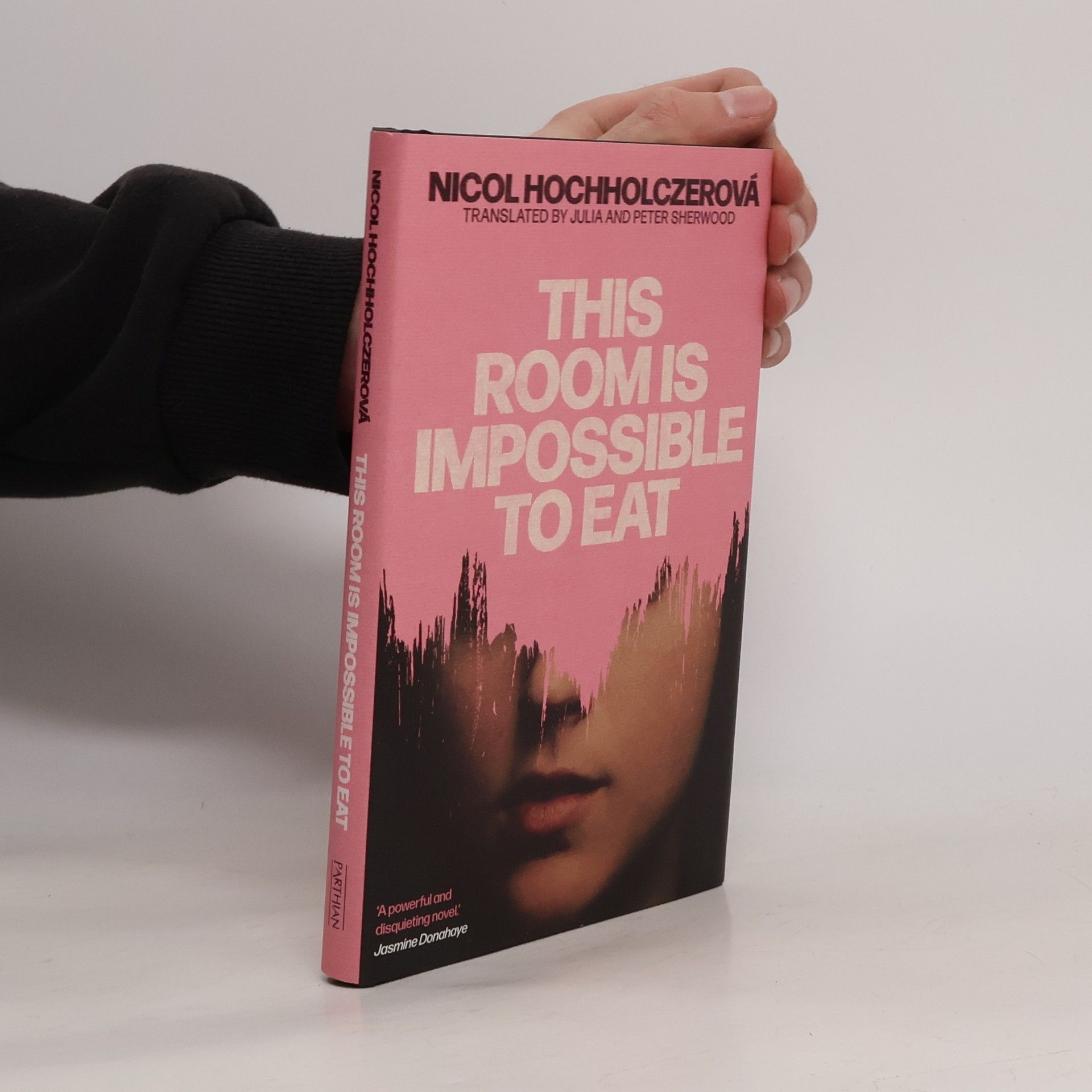 Nicol Hochholczerová This Room Is Impossible to Eat