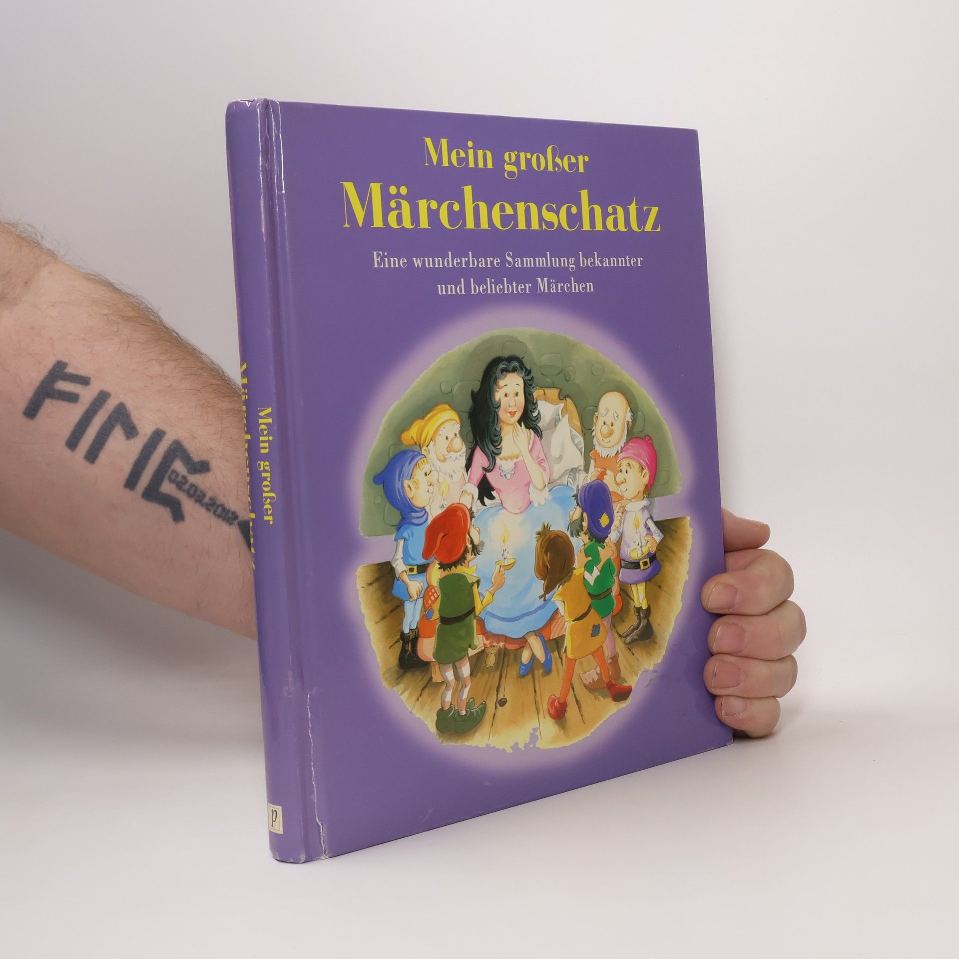 Kolektiv autorů Mein großer Märchenschatz