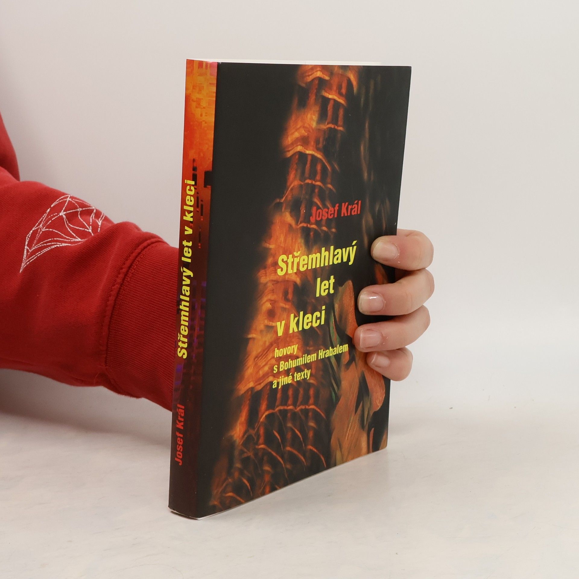 Josef Král Střemhlavý let v kleci - hovory s Bohumilem Hrabalem a jiné texty