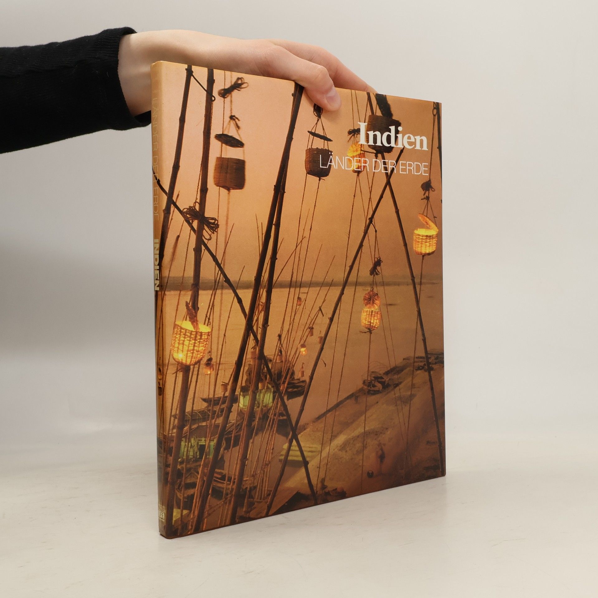 Hans-Heinrich Wellmann Indien. Länder der Erde