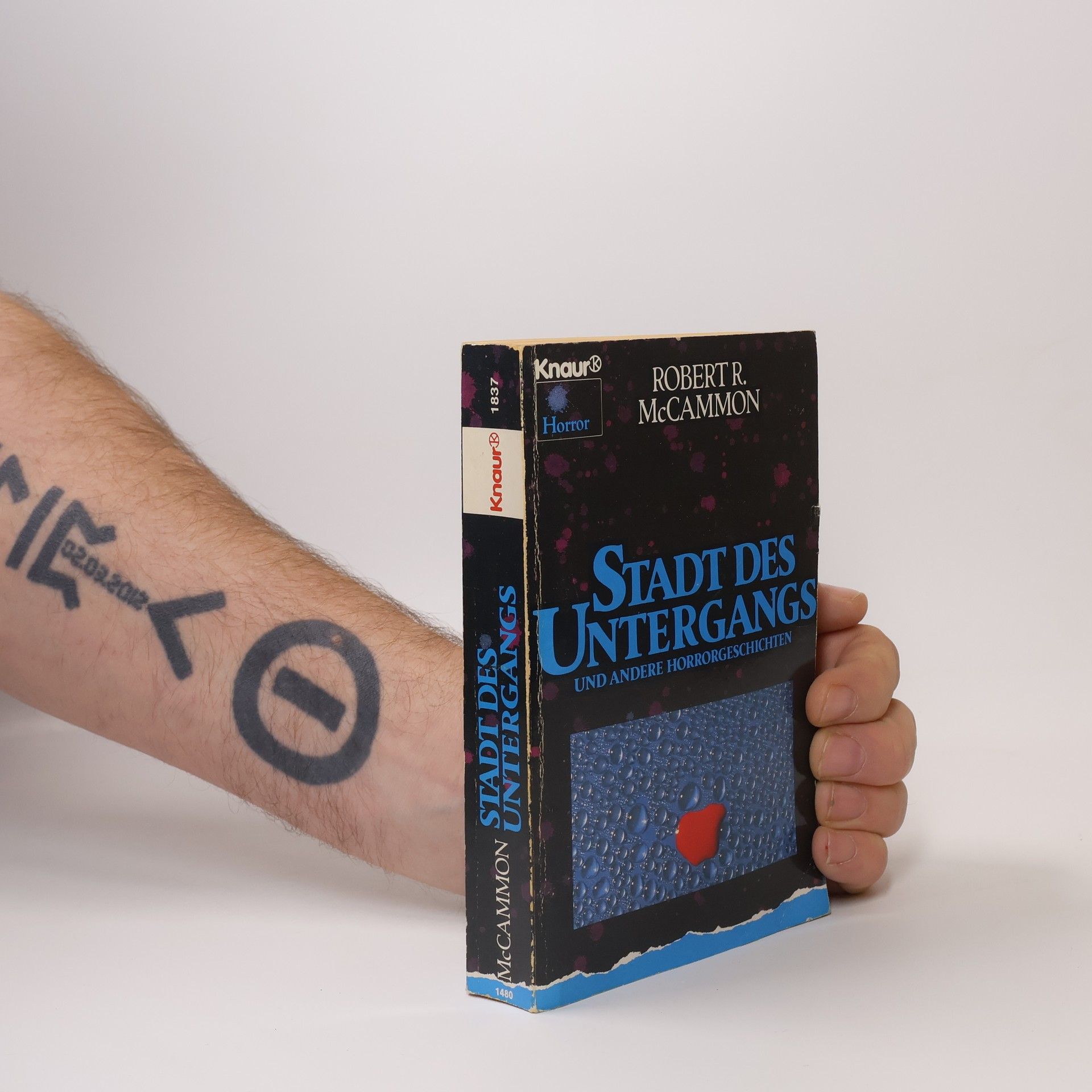 Robert McCammon Stadt des Untergangs und andere Horrorgeschichten. Horror
