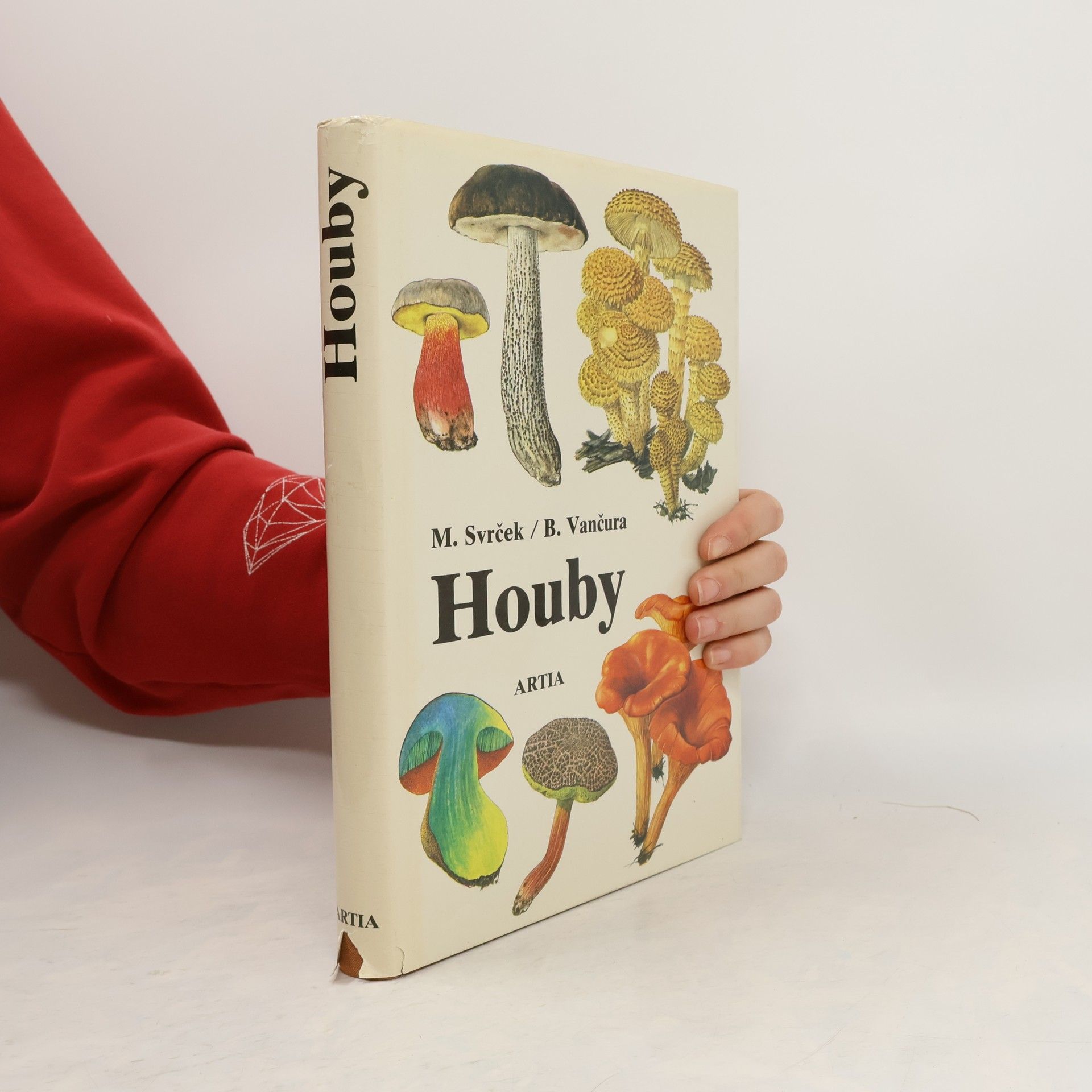 Mirko Svrček Houby