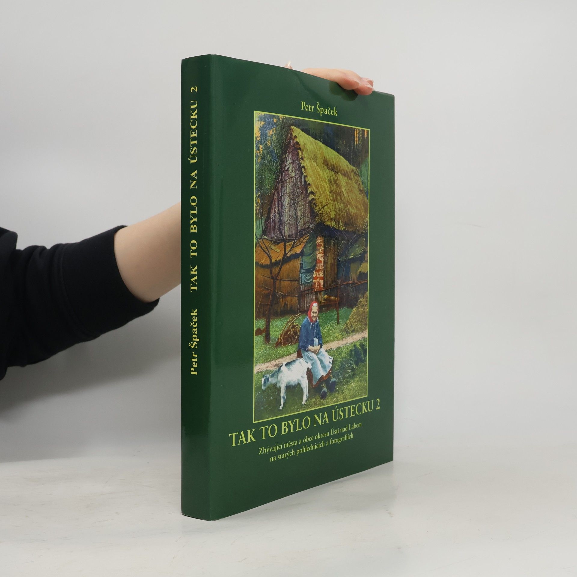 Tak to bylo na Ústecku 2: Zbývající města a obce okresu Ústí nad Labem na starých pohlednicích a fotografiích