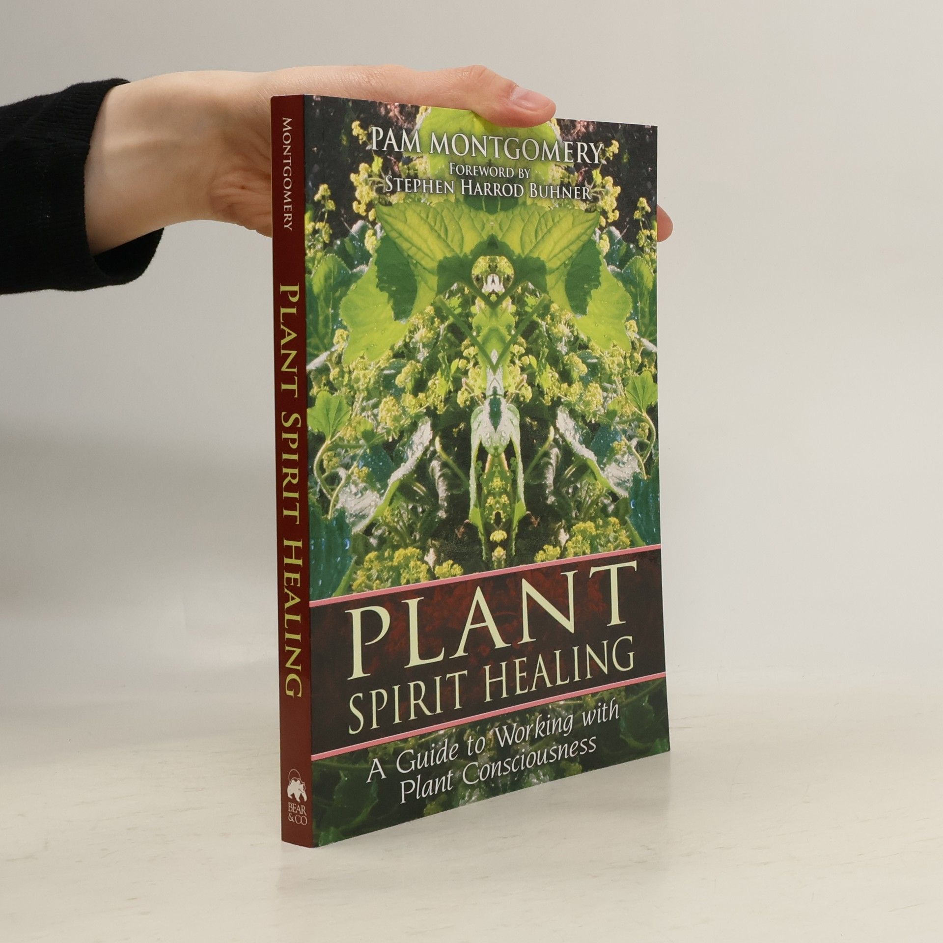 Pam Montgomery Plant Spirit Healing