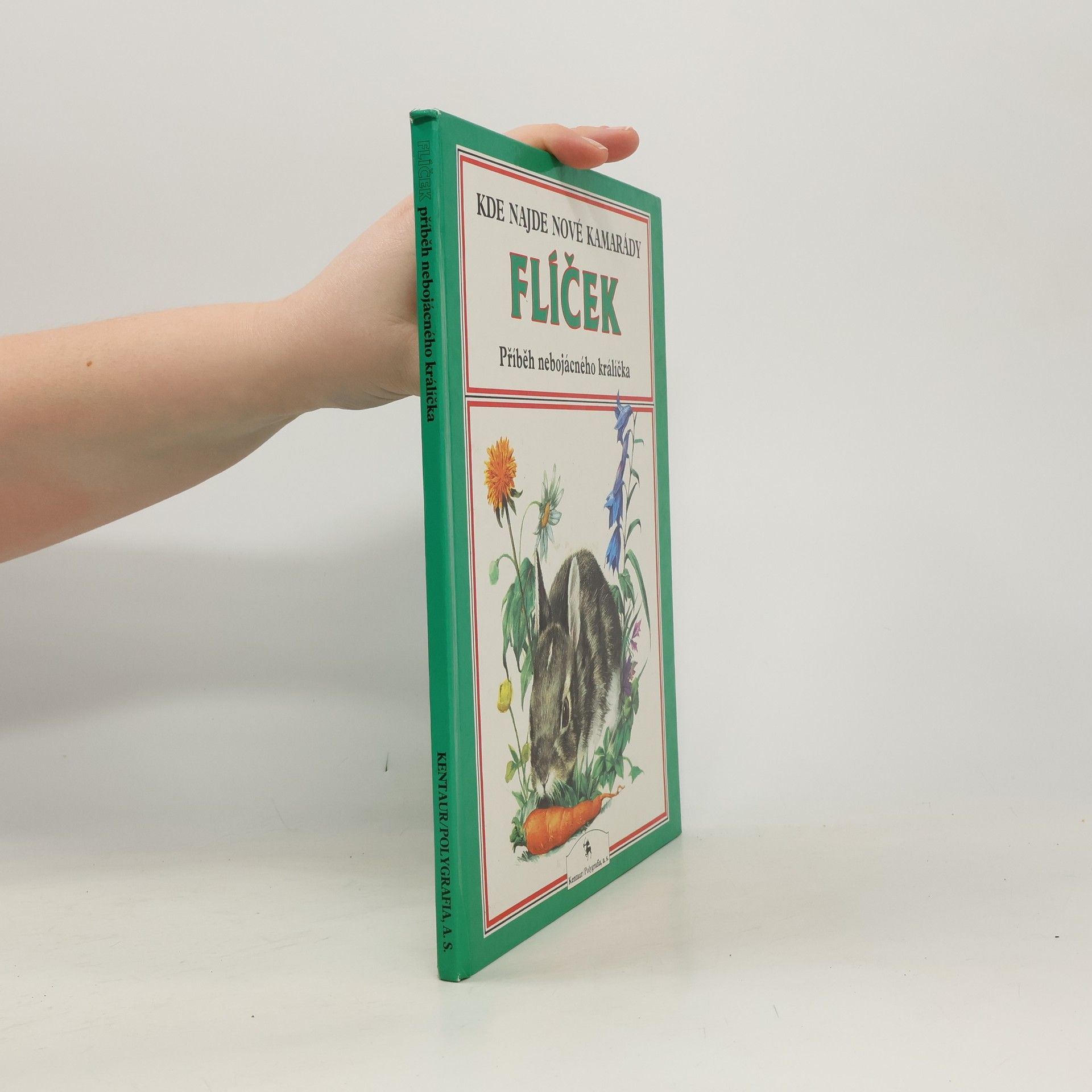 Jiří Hromádko Flíček: Příběh nebojácného králíčka