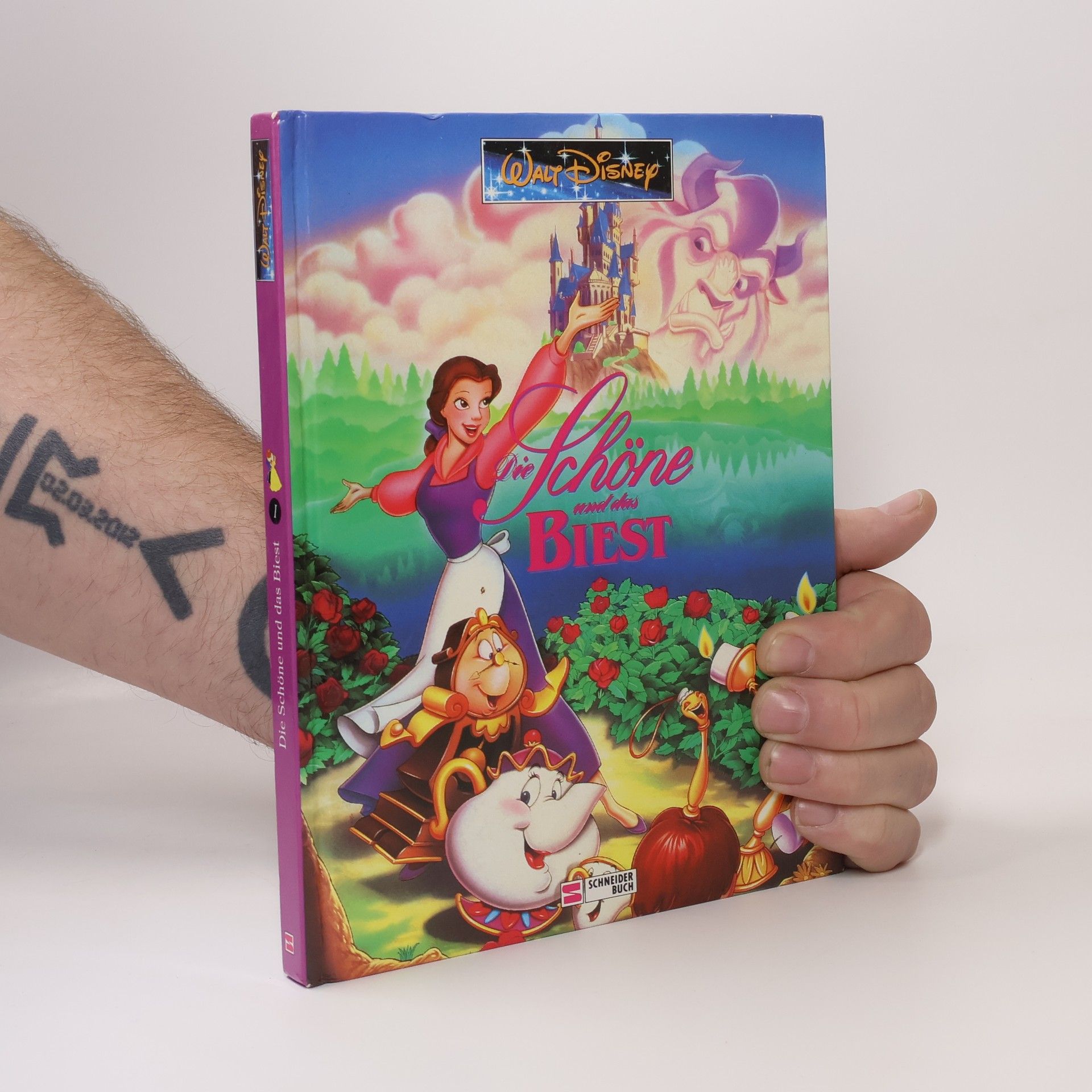 Autores varios Die Schöne und das Biest