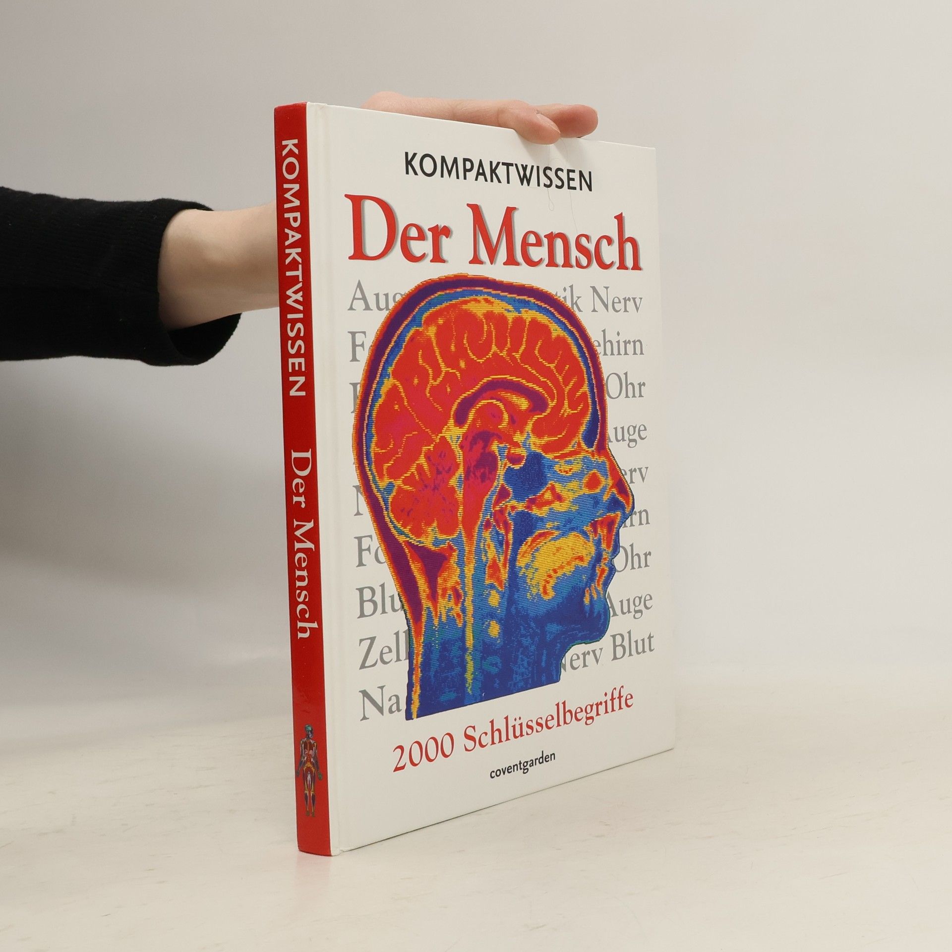 David Burnie Kompaktwissen der Mensch