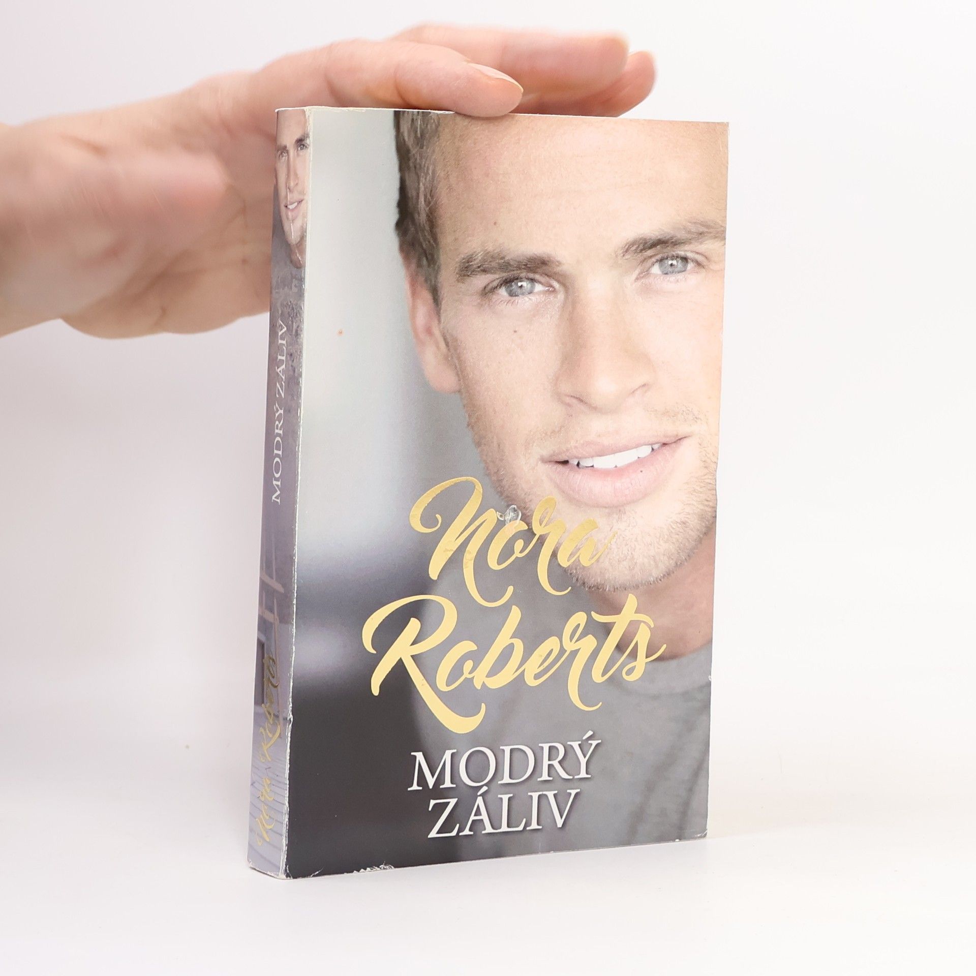 Nora Roberts Modrý záliv