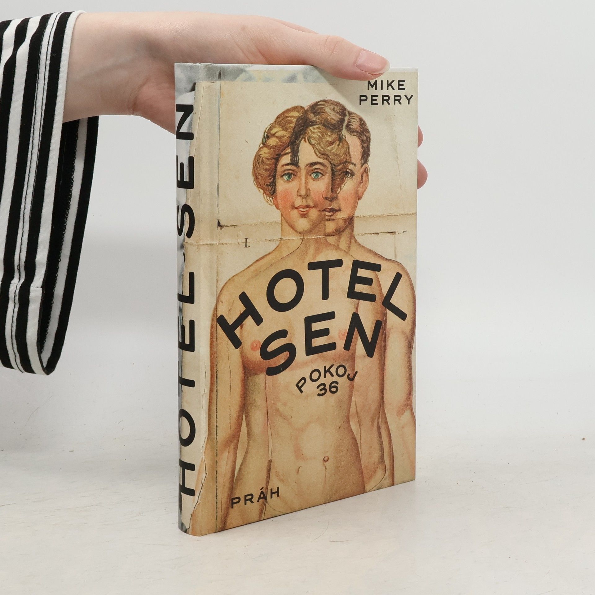 Mike Perry Hotel Sen : pokoj 36