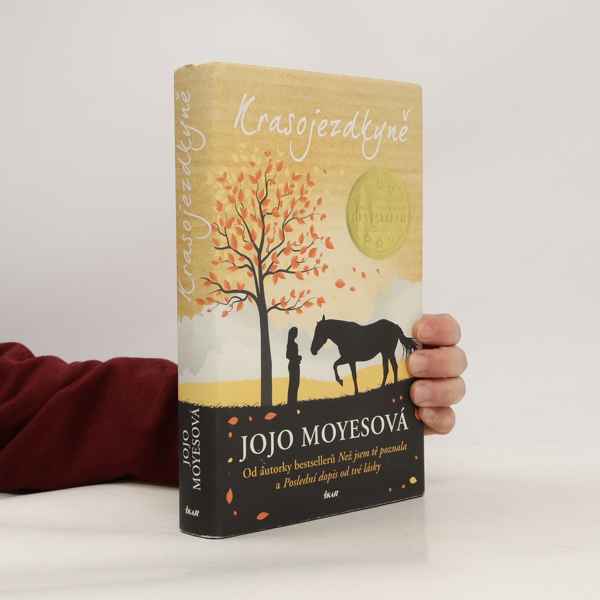 Jojo Moyes Krasojezdkyně
