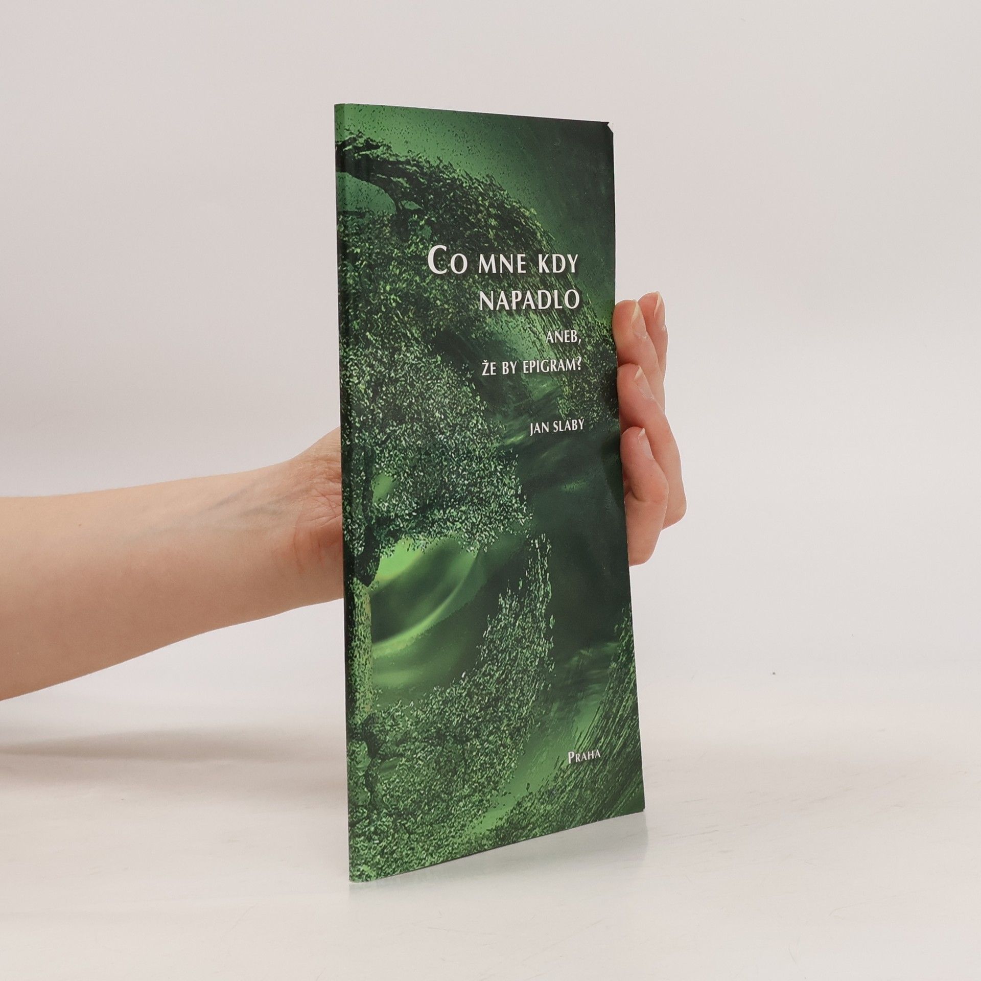 Co mne kdy napadlo, aneb, Že by epigram?